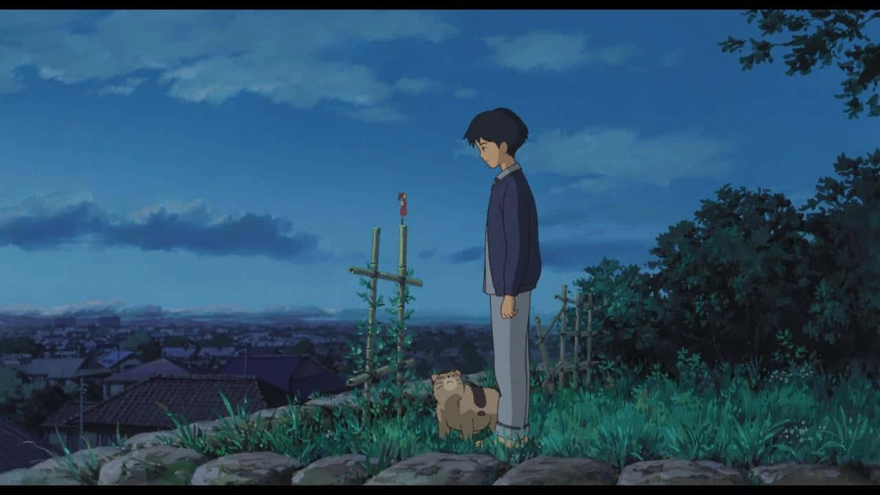 Tales From Earthsea 桌布 壁紙 — 一個小男孩和一隻貓站在黃昏時分的草地上，俯瞰著深藍色天空下寧靜的小鎮。