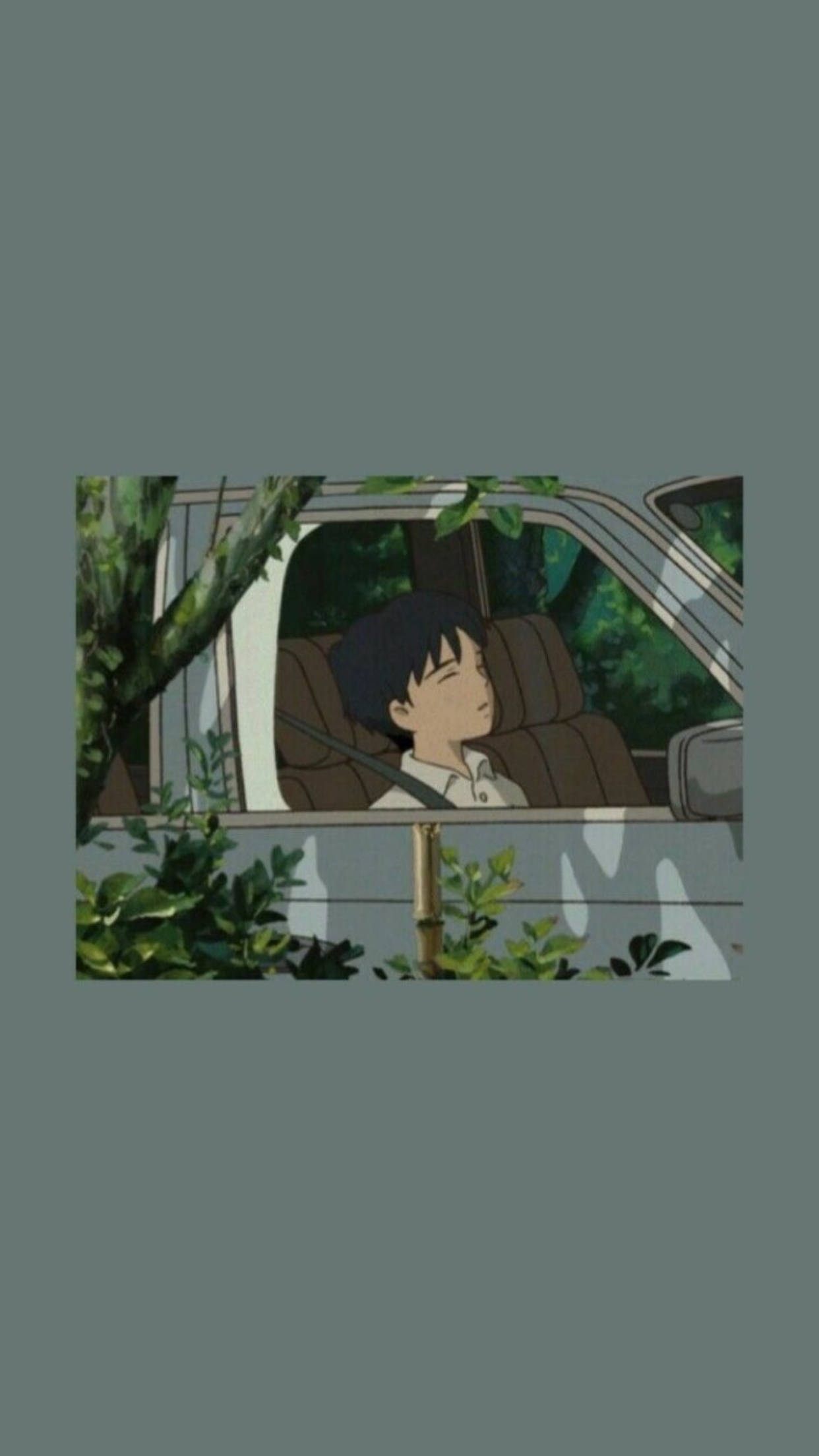 Grunge Aesthetic 桌布 壁紙 — 一個小男孩在汽車駕駛座上安詳地睡著，周圍是茂密的綠色樹葉。