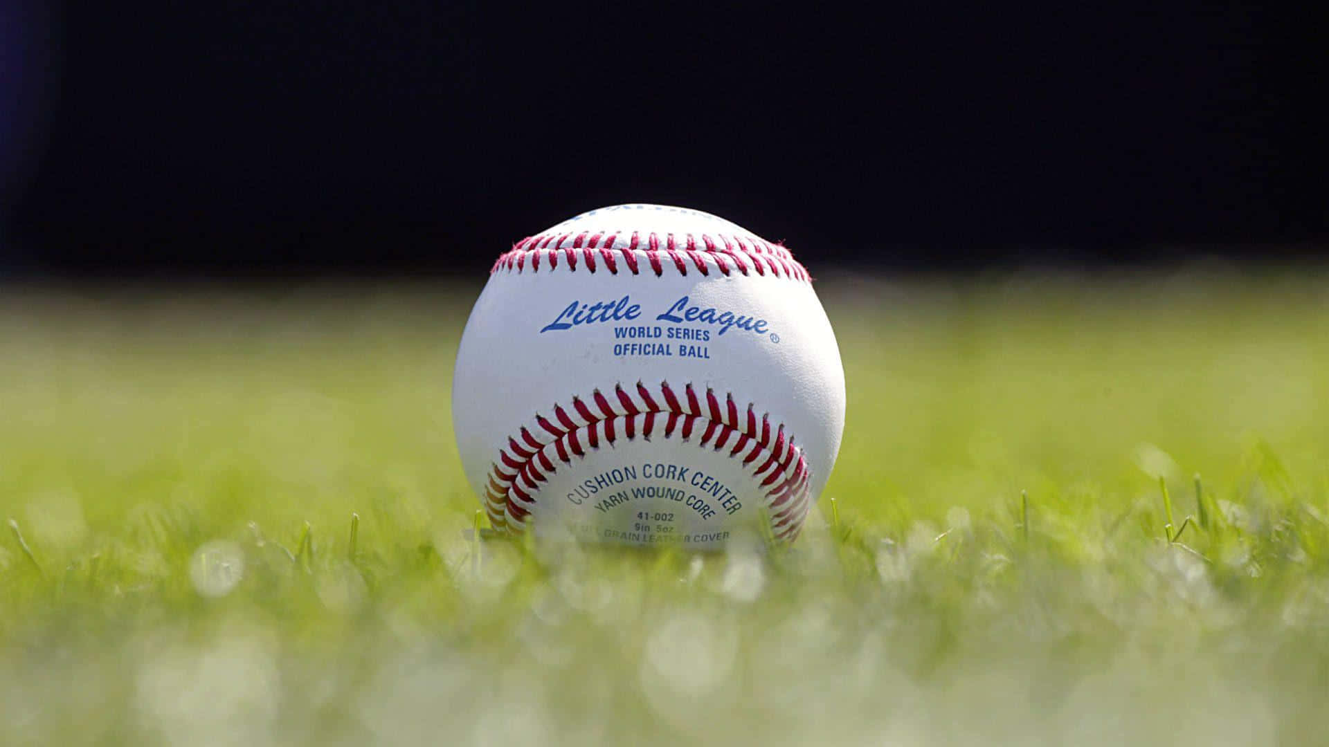 Little League Baseball 桌布 壁紙 — 一個小聯盟棒球放在充滿活力的綠色草地上，景深較淺，背景昏暗。