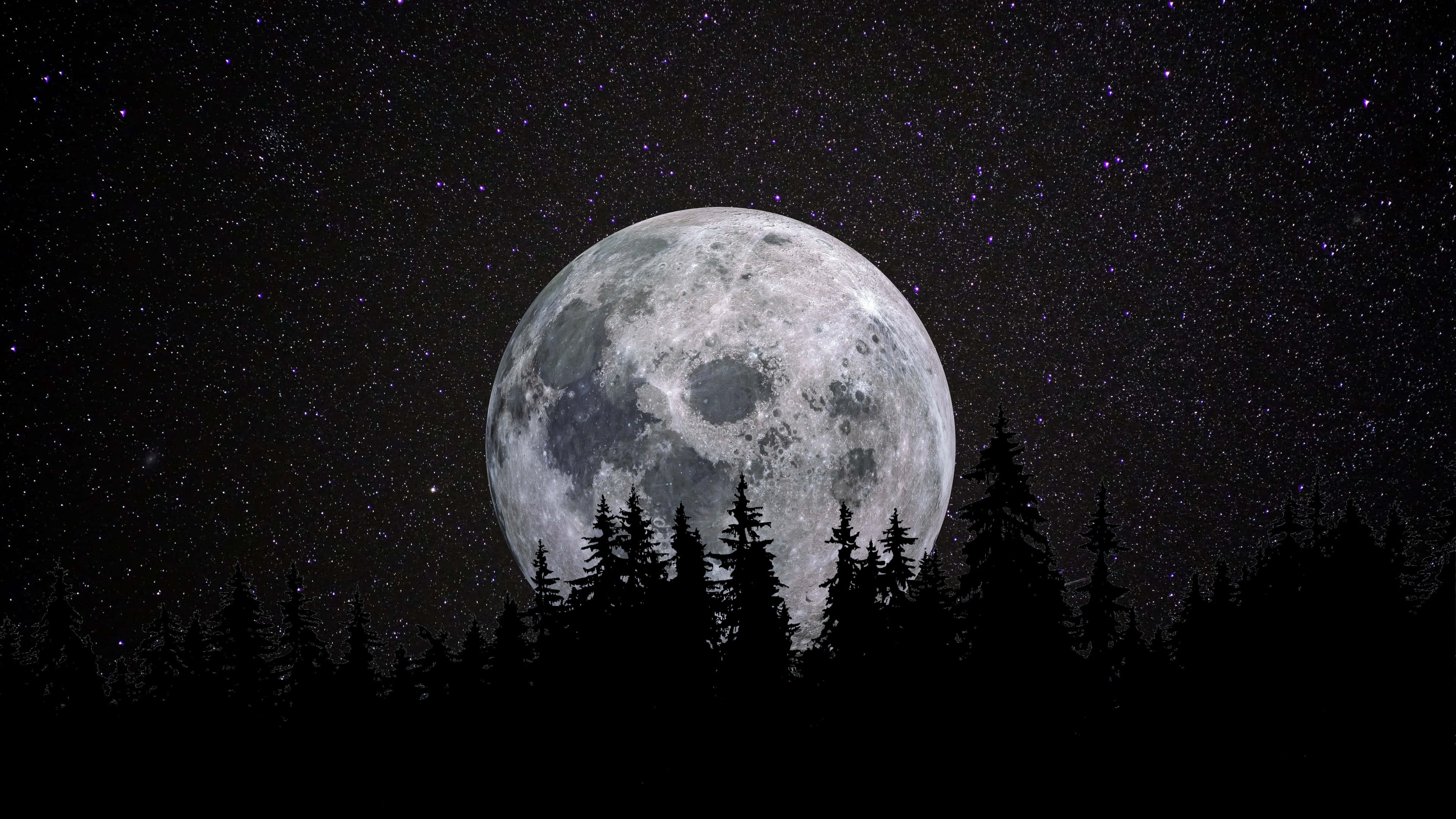 Dark Night 桌布 壁紙 — 一個巨大而細節豐富的滿月在繁星點點的夜空下，從松樹的黑暗剪影後升起。