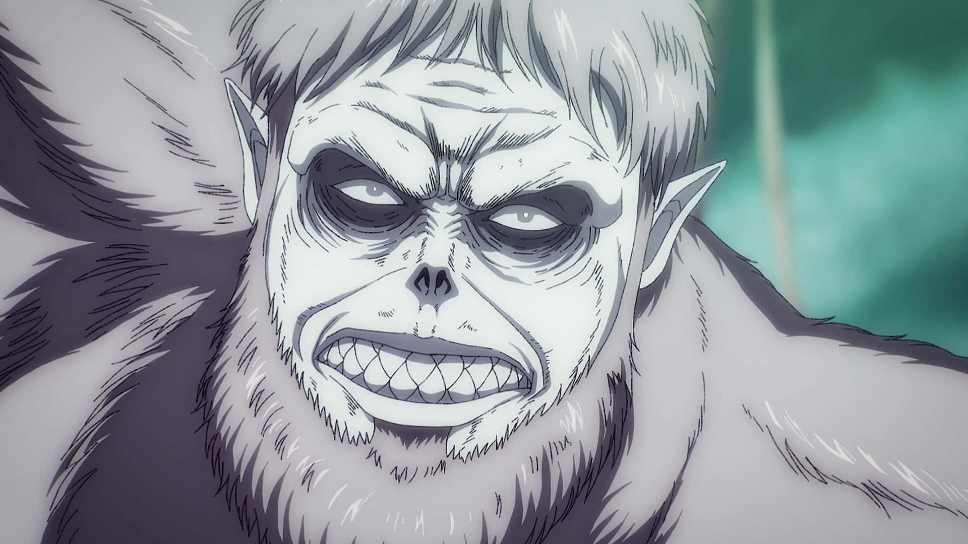 Beast Titan 桌布 壁紙 — 一個帶有尖牙和尖耳朵的威脅性動畫巨人，在特寫鏡頭中咆哮。