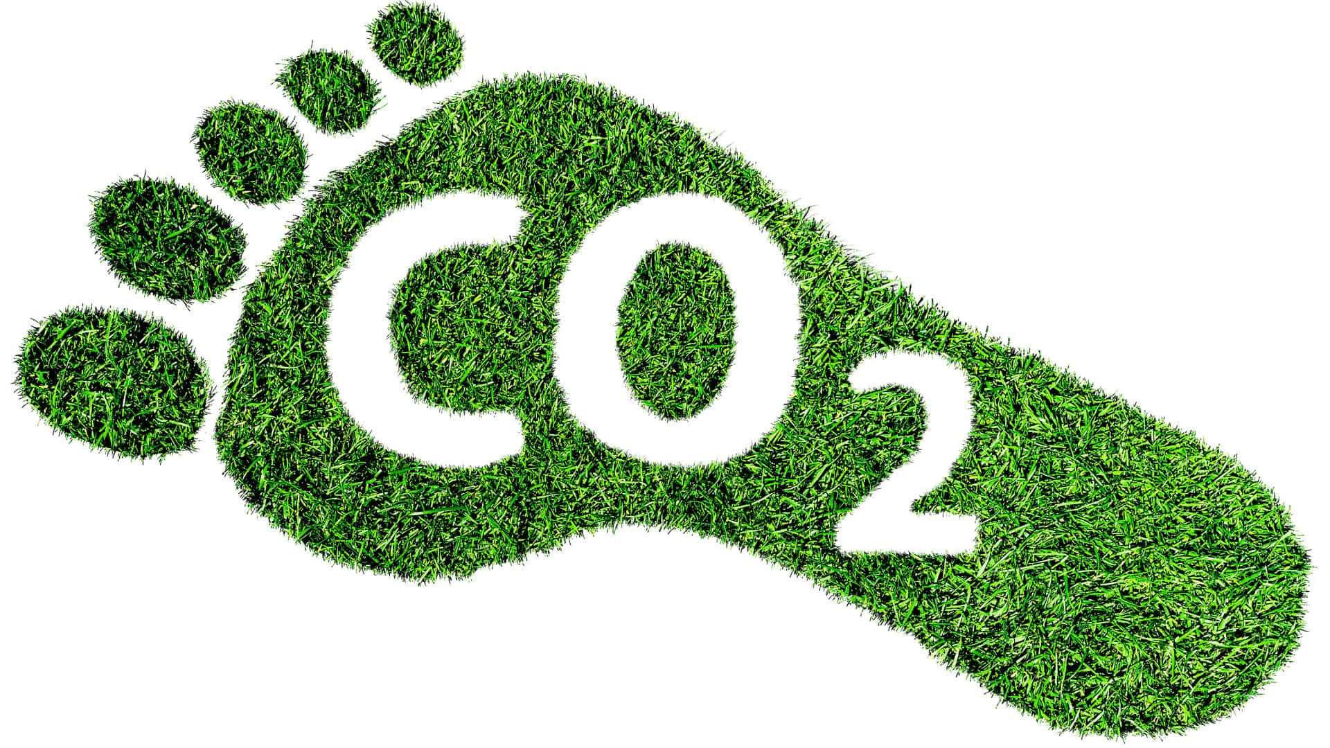 Carbon Footprint 桌布 壁紙 — 一個帶有白色CO2文字的綠色草地足跡，象徵環保碳足跡意識。