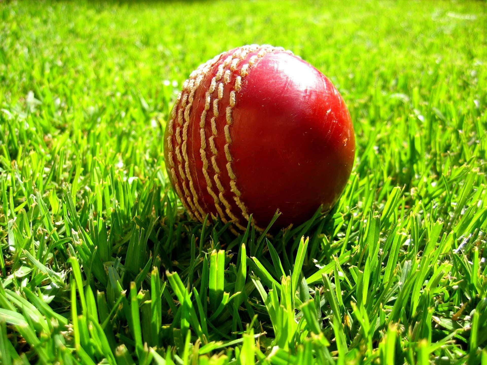 Cricket 桌布 壁紙 — 一個帶有白色縫線的光澤紅色板球，在明亮的陽光下躺在充滿活力的綠色草地上。