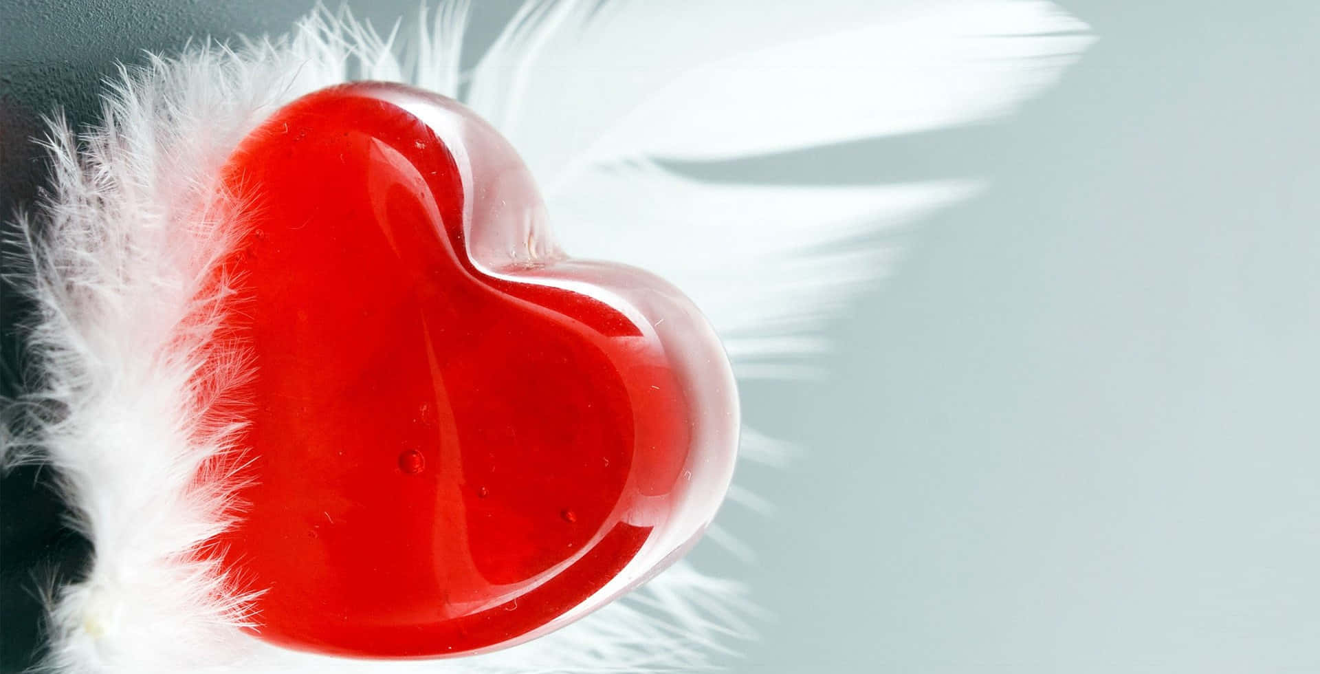 Red Heart 桌布 壁紙 — 一個帶有白色羽毛翅膀的光澤紅色心形，靠在柔軟的灰色背景上。