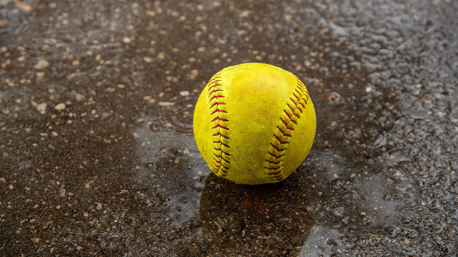 Softball 桌布 壁紙 — 一個帶有紅色縫線的黃色壘球放在潮濕的瀝青上，在雨後的水坑中反射。