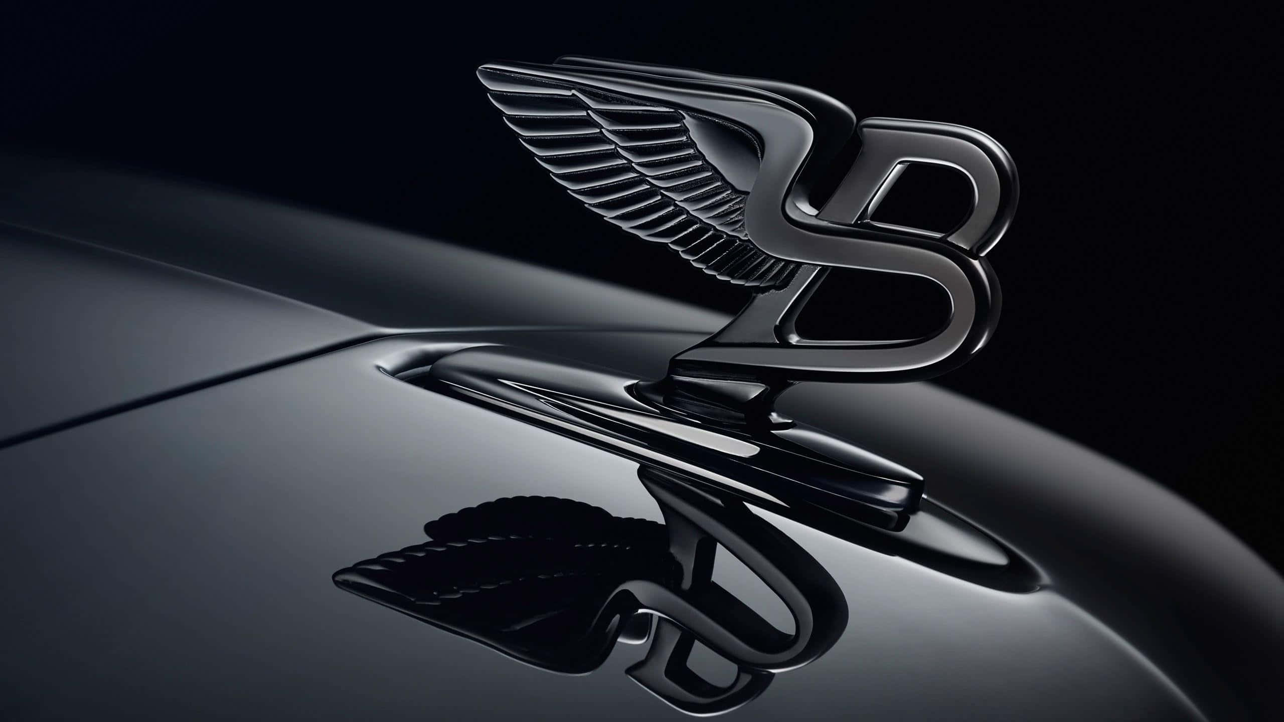 Car Logo 桌布 壁紙 — 一個帶翅膀的黑色賓利引擎蓋飾件，在攝影棚燈光下於光亮的引擎蓋上閃閃發光。