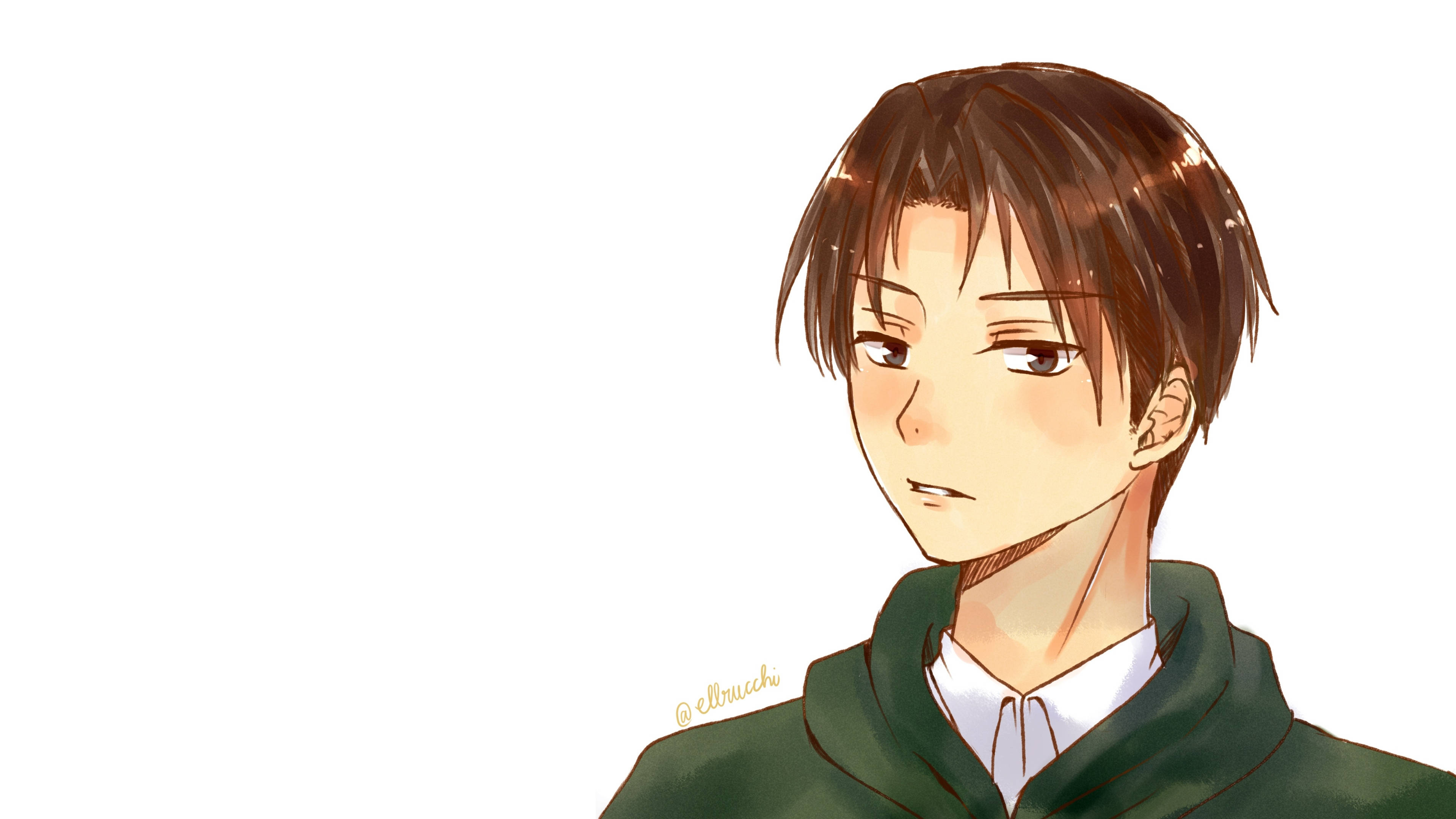 Levi 桌布 壁紙 — 一個年輕的動漫男性，棕色頭髮，穿著綠色連帽衫，在純白色背景前若有所思地凝視。