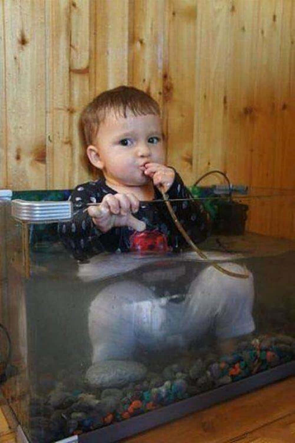 odd 桌布 壁紙 — 一個幼兒坐在魚缸中，拿著玩具魚，同時咬著一條軟管，背景是木牆。