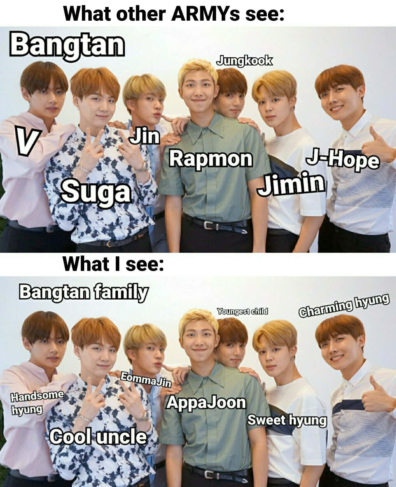 Bts Meme 桌布 壁紙 — 一個幽默迷因，比較粉絲如何以親暱暱稱與官方名稱看待BTS成員。