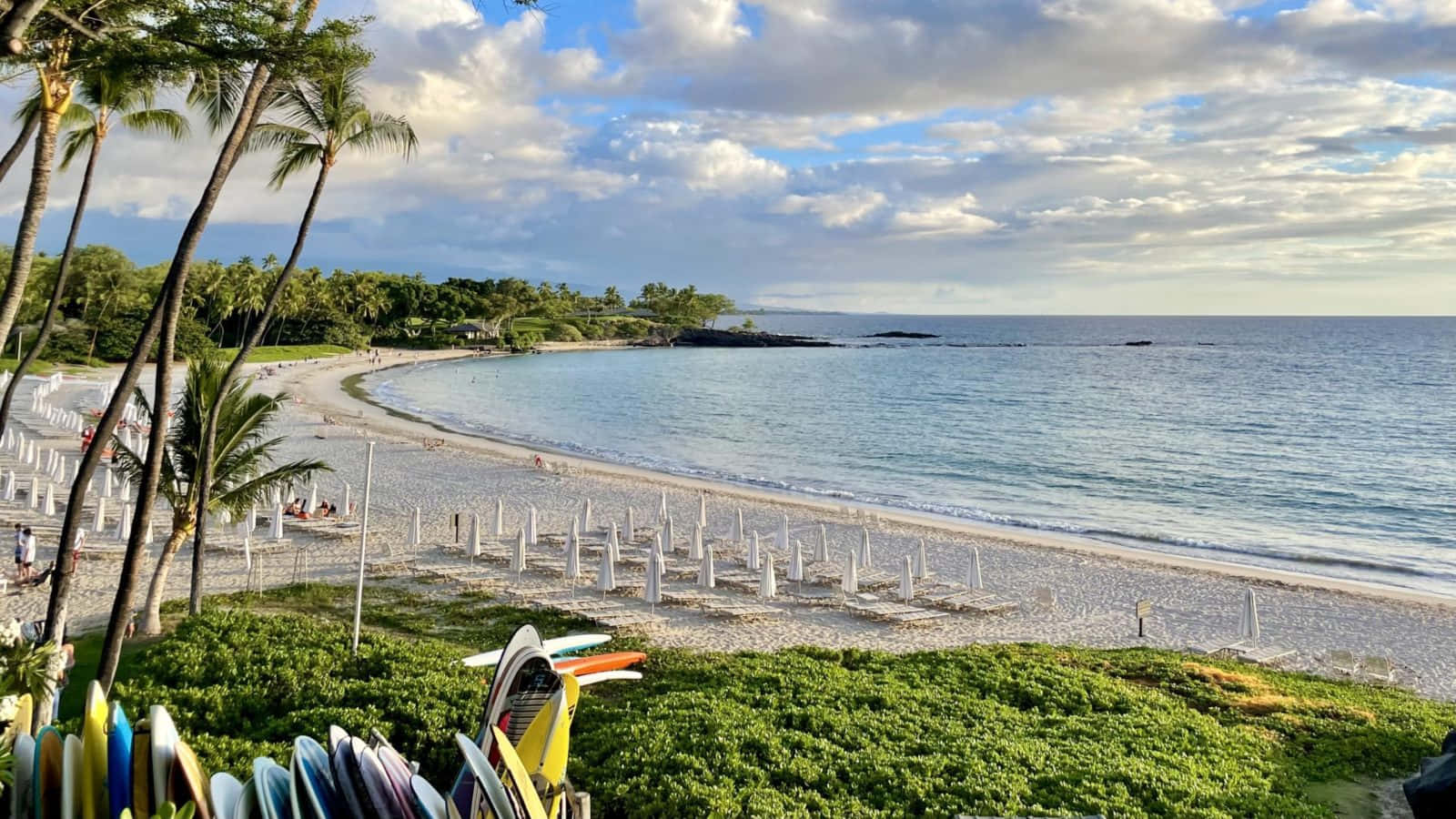 Hawaiian Island 桌布 壁紙 — 一個彎曲的熱帶海灘，棕櫚樹和色彩繽紛的衝浪板排列在茂密的綠草地上，天空部分多雲。
