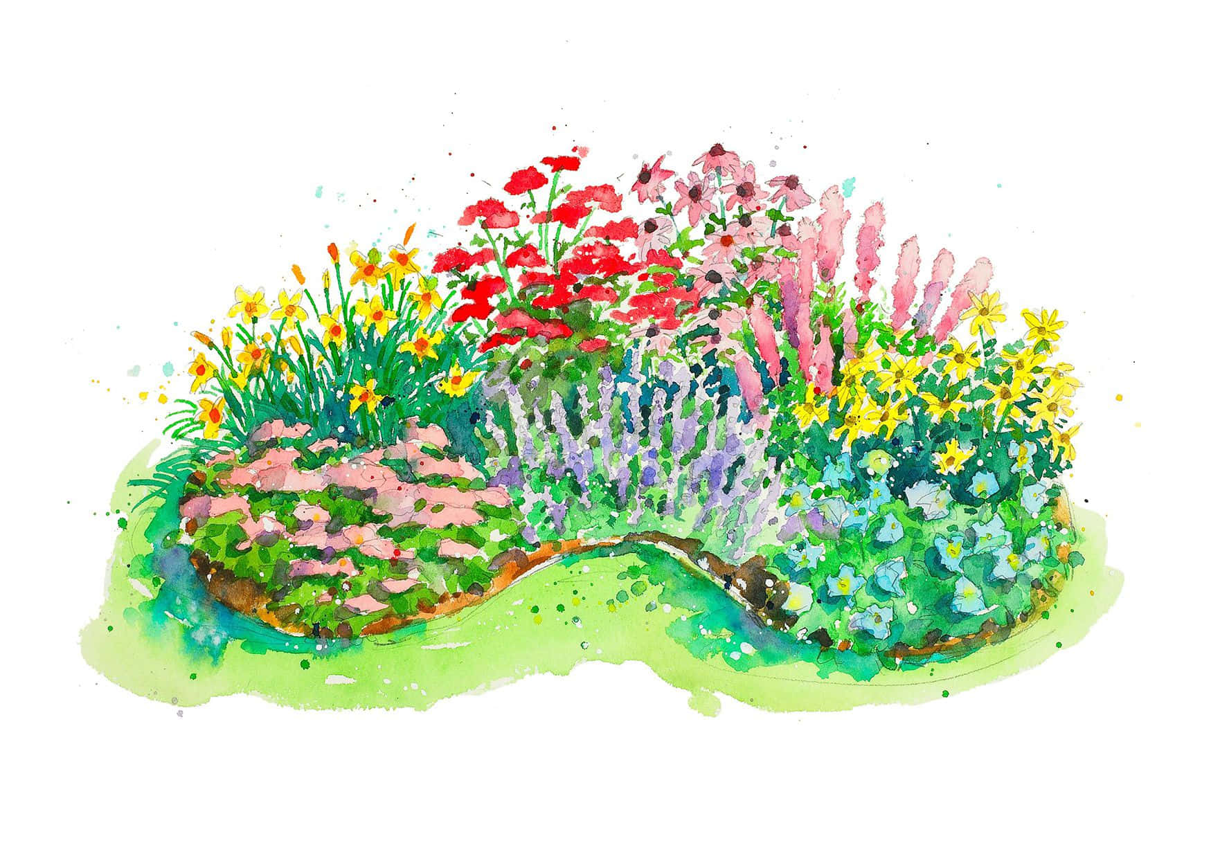 插畫 桌布 壁紙 — 一個彎曲花壇的鮮豔水彩插圖，充滿紅色、粉紅色、黃色和紫色的花朵。