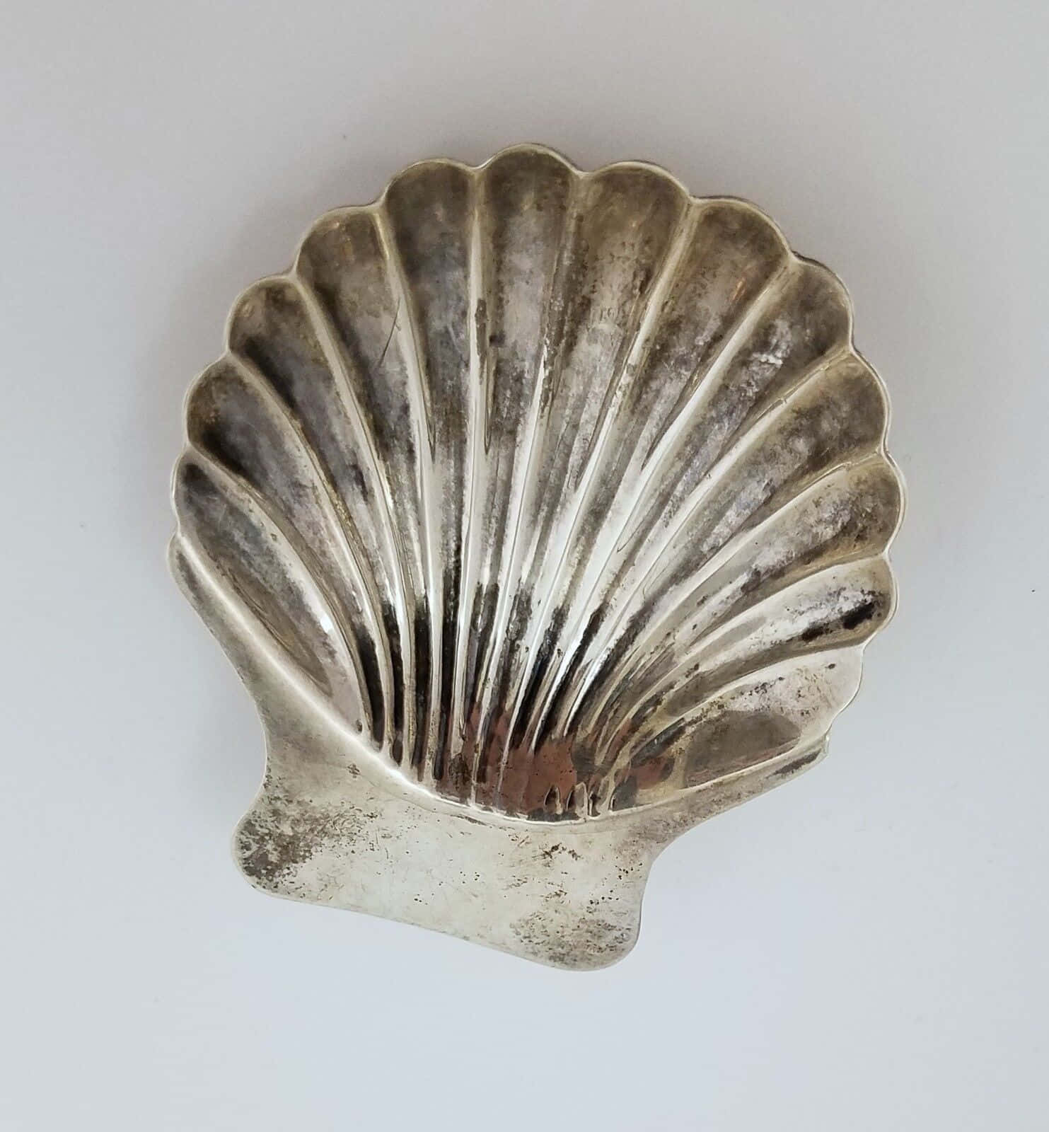 Clam Shell 桌布 壁紙 — 一個復古銀色扇貝碟，帶有暗淡的紋理，放置在純白色表面上。