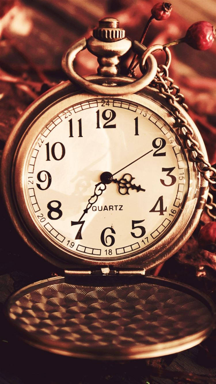 Clock 桌布 壁紙 — 一個復古黃銅懷錶，帶有石英錶面和鏈條，放置在紋理表面上，旁邊是紅色玫瑰果，在溫暖的燈光下。