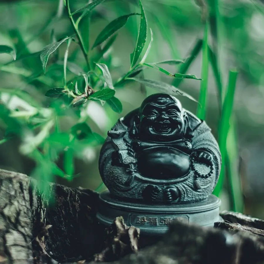 Statue Aesthetic 桌布 壁紙 — 一個微笑的黑色佛像坐落在充滿活力的綠色樹葉和風化的樹皮之間。