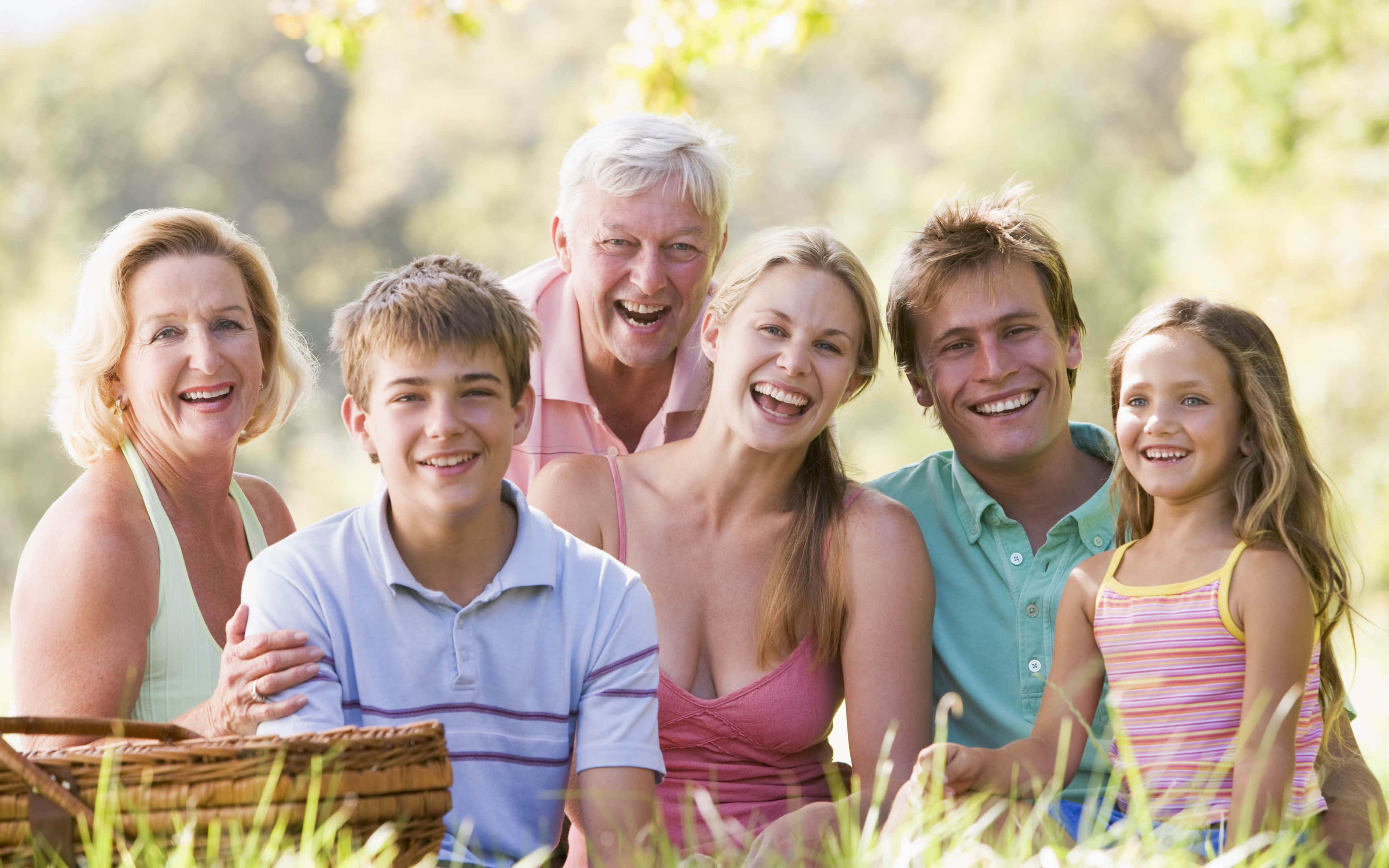 Family Portrait 桌布 壁紙 — 一個快樂的多代家庭在陽光照耀的草地上一起大笑，旁邊有一個野餐籃。