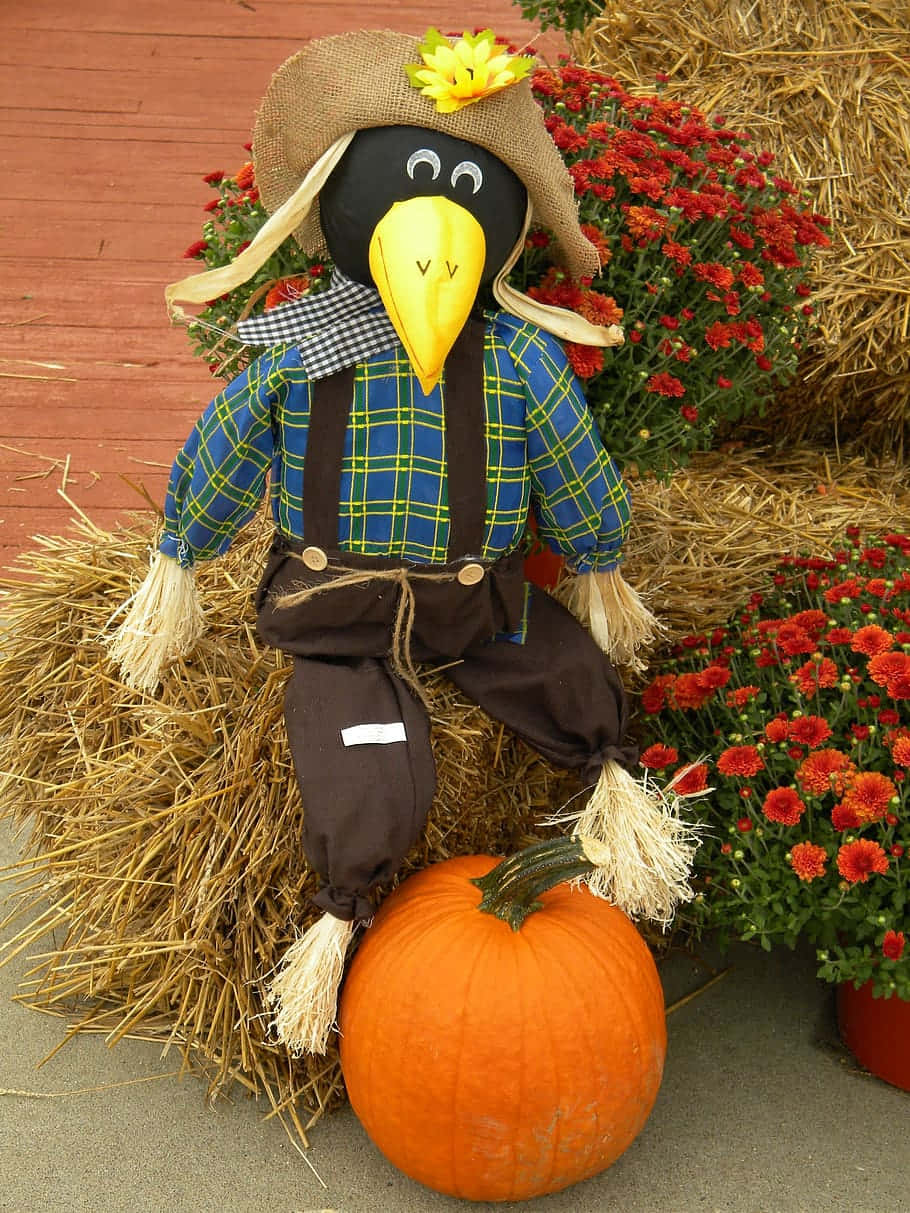 Fall Scarecrow 桌布 壁紙 — 一個快樂的稻草人，黃色喙和格子襯衫，坐在乾草捆上，旁邊有南瓜和紅色菊花。