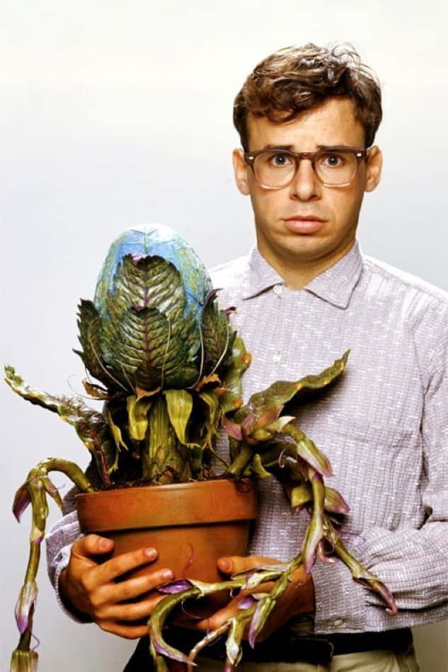 rick moranis 桌布 壁紙 — 一個戴眼鏡的男人，在純色背景前，拿着一盆葉子呈紫色和綠色的枯萎盆栽。