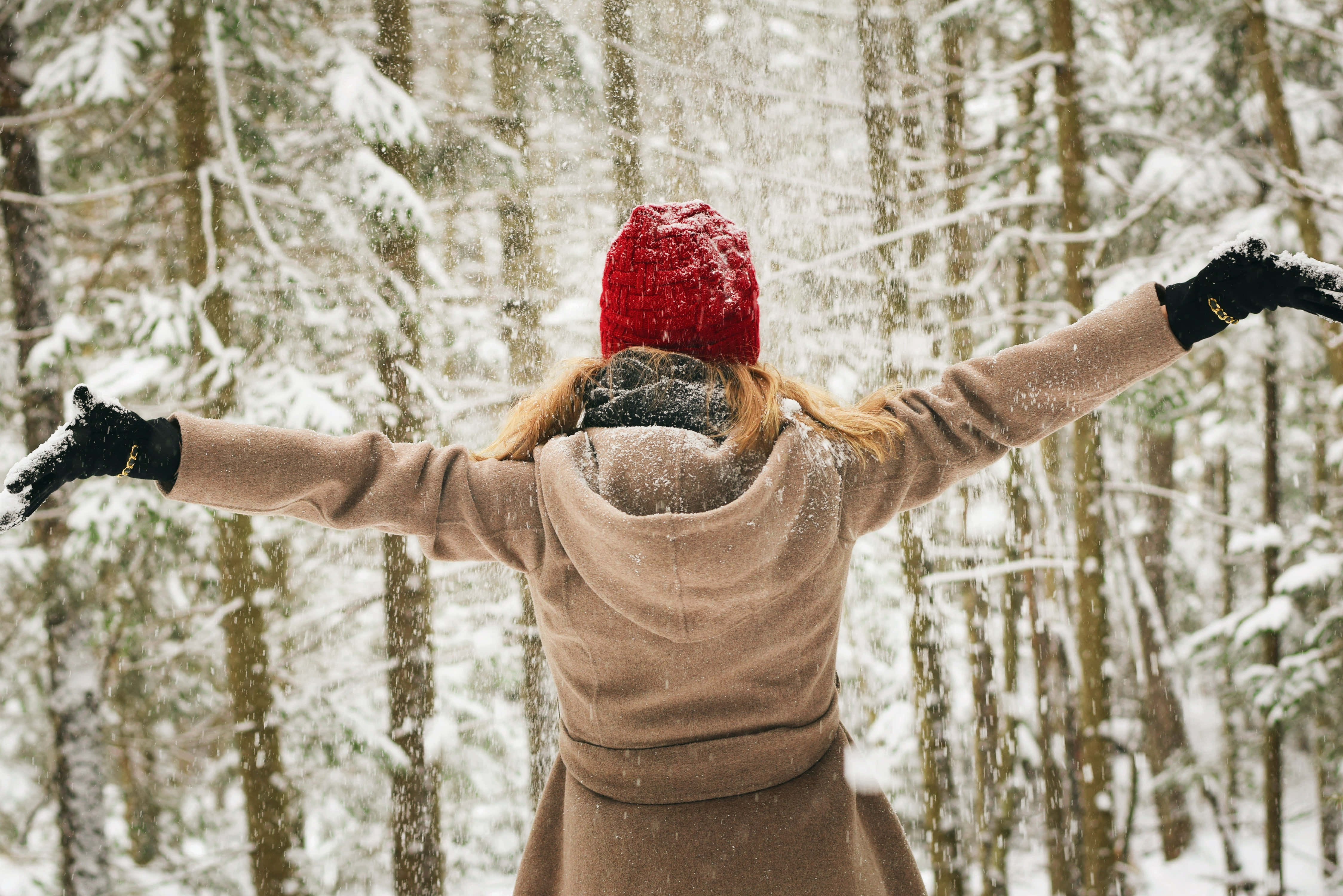 寒冷 桌布 壁紙 — 一個戴紅帽、穿米色外套的人喺雪森林中張開雙臂，擁抱飄落嘅雪花。