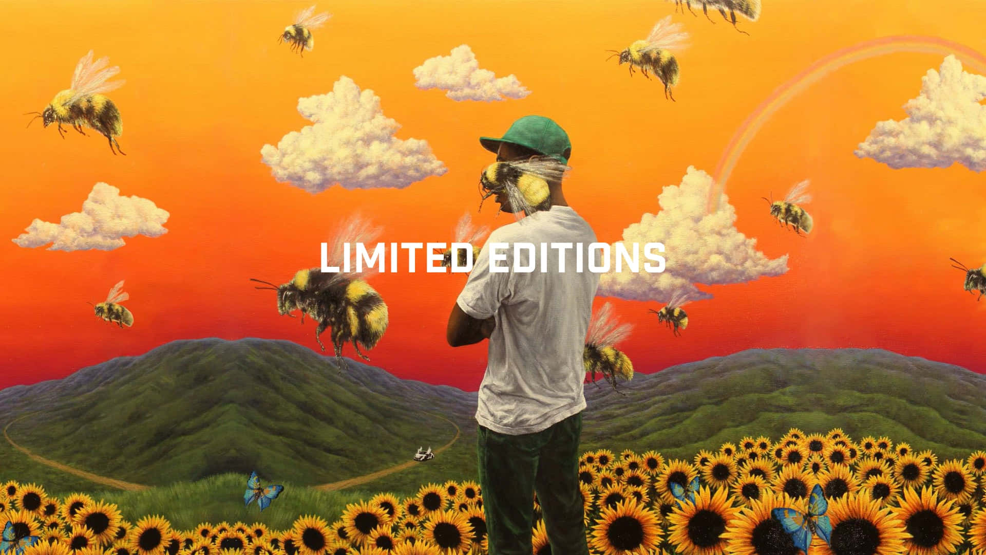 tyler the creator 桌布 壁紙 — 一個戴綠色帽嘅男人企喺向日葵田入面，巨型蜜蜂喺有雲同彩虹嘅超現實橙色日落天空飛翔。