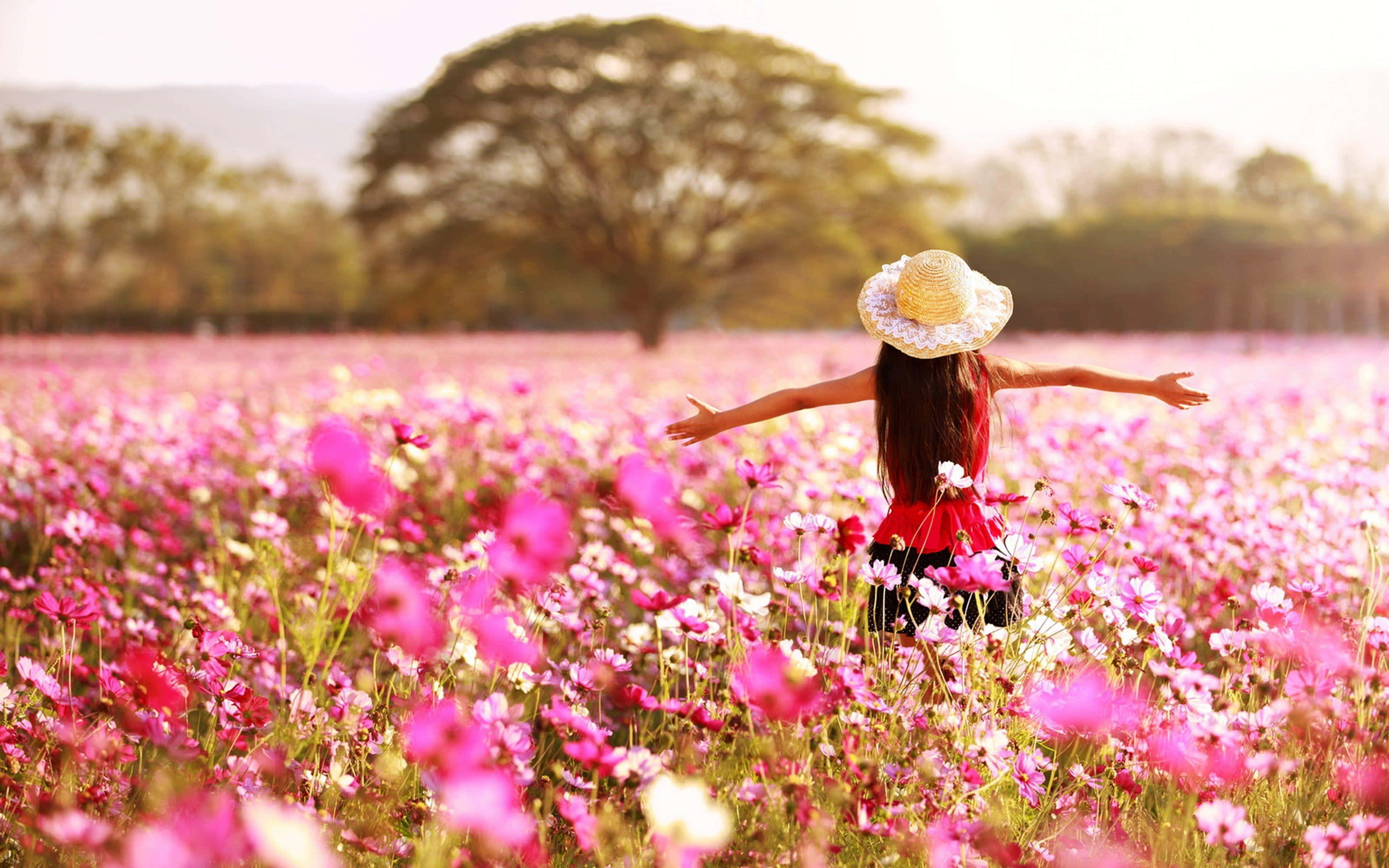 Contentment 桌布 壁紙 — 一個戴草帽的女孩在溫暖的金色陽光下，在一片充滿活力的粉紅色波斯菊花田中張開雙臂站立。