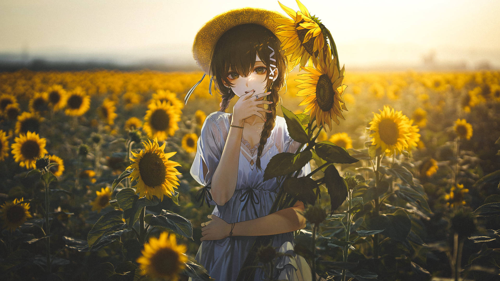 field 桌布 壁紙 — 一個戴草帽的年輕動漫女孩站在金色的向日葵田中，沐浴在溫暖的夕陽光下。