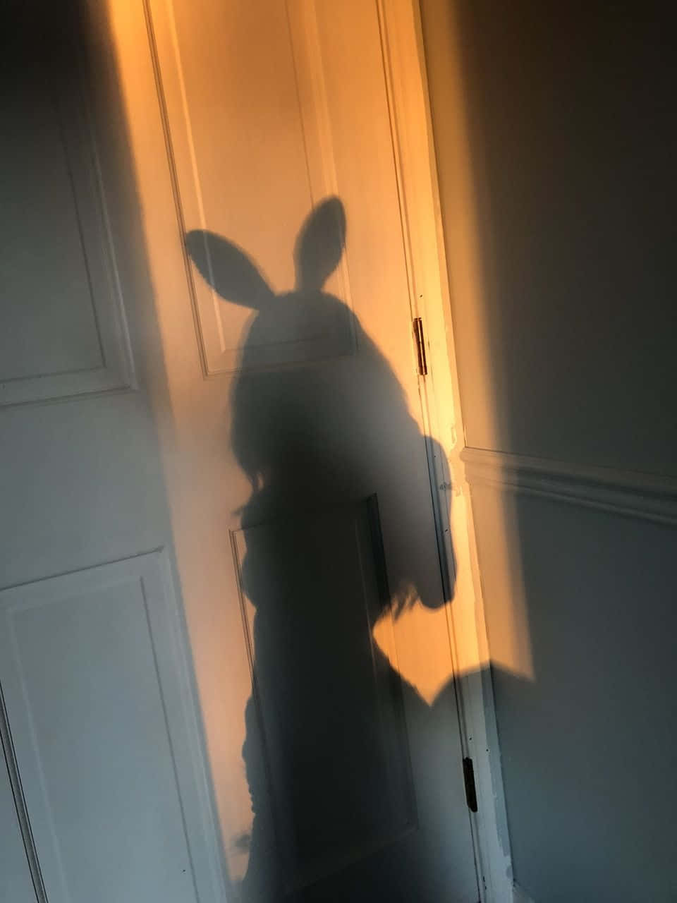 Playboy Aesthetic 桌布 壁紙 — 一個戴著兔耳朵的人的剪影，在昏暗的房間裡，將溫暖的影子投射在白色的門上。