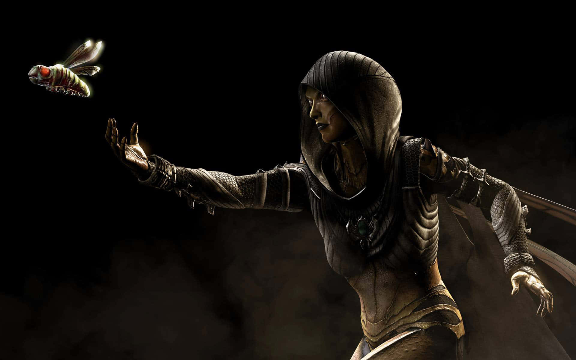 Mortal Kombat Characters 桌布 壁紙 — 一個戴著兜帽、身穿暗色盔甲的戰士，在煙霧繚繞的黑色背景下，向一隻發光的昆蟲伸出手。