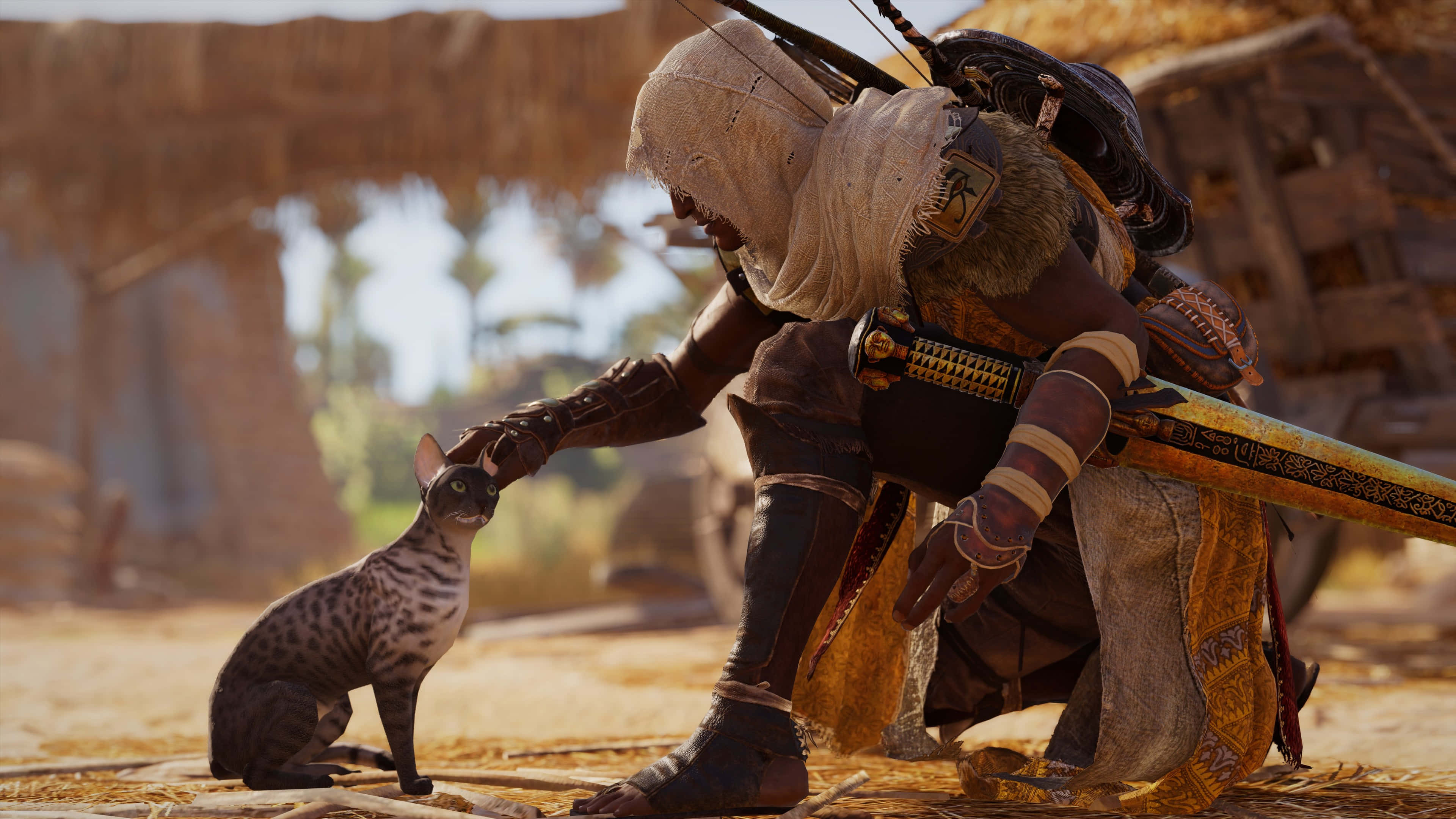 Bayek 桌布 壁紙 — 一個戴著兜帽的刺客跪在陽光明媚的沙漠廢墟中，輕輕撫摸一隻斑點貓。
