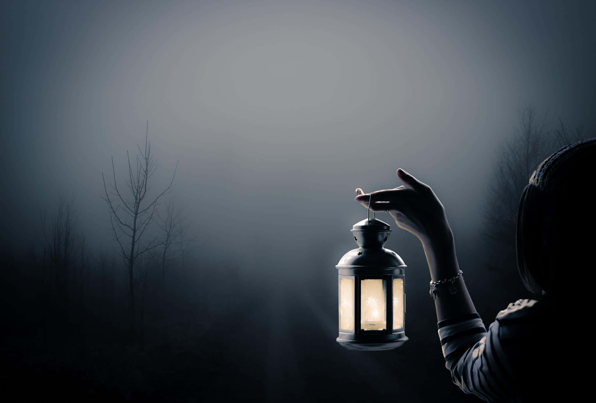 Dark Fear 桌布 壁紙 — 一個戴著兜帽的身影在夜晚霧氣瀰漫的黑暗森林中舉著發光的燈籠，將溫暖的光線投射在光禿的樹木上。