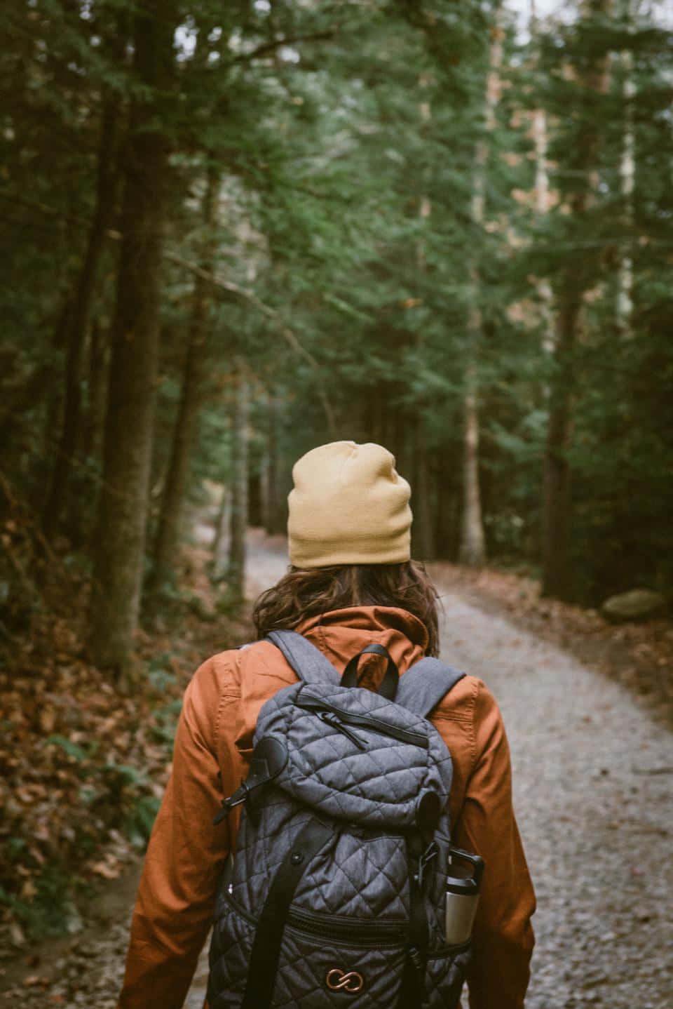 Fall Hikes 桌布 壁紙 — 一個戴著米色冷帽、穿著橙色外套的人揹著灰色背包在森林小徑上走遠。