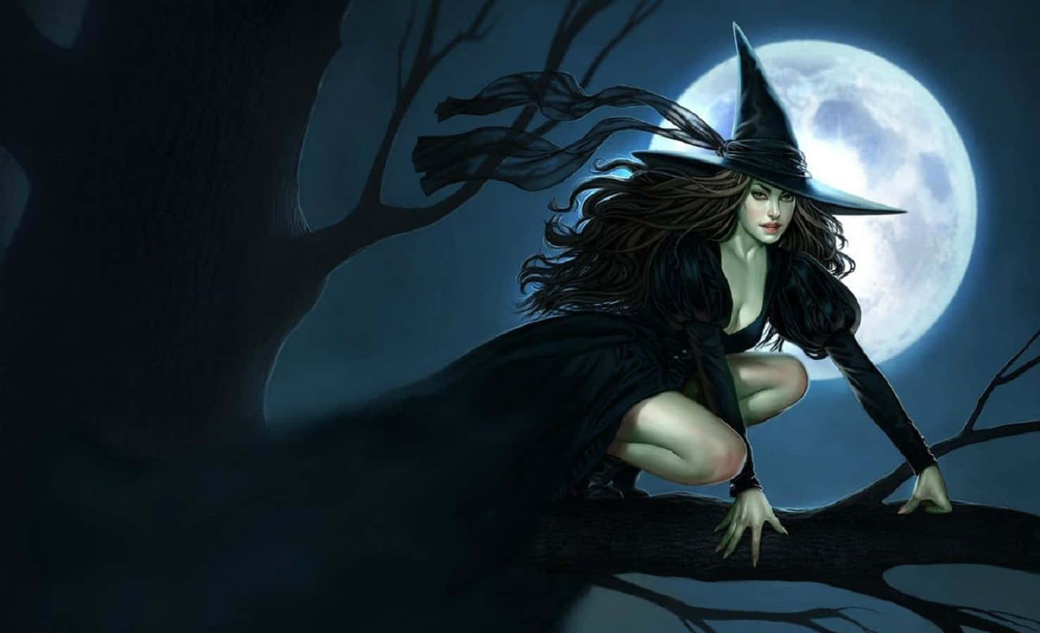 Witch Hats 桌布 壁紙 — 一個戴著黑色帽子和斗篷的女巫蹲在黑暗森林中一棵光禿禿的樹枝上，背景是發光的滿月。