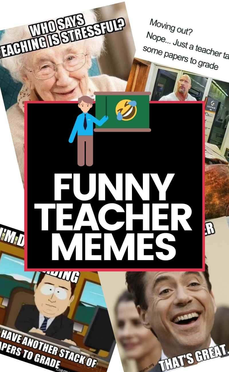 Educational Memes 桌布 壁紙 — 一個搞笑老師迷因拼貼，包含微笑的老年女性、卡通老師和名人對學校幽默的反應。