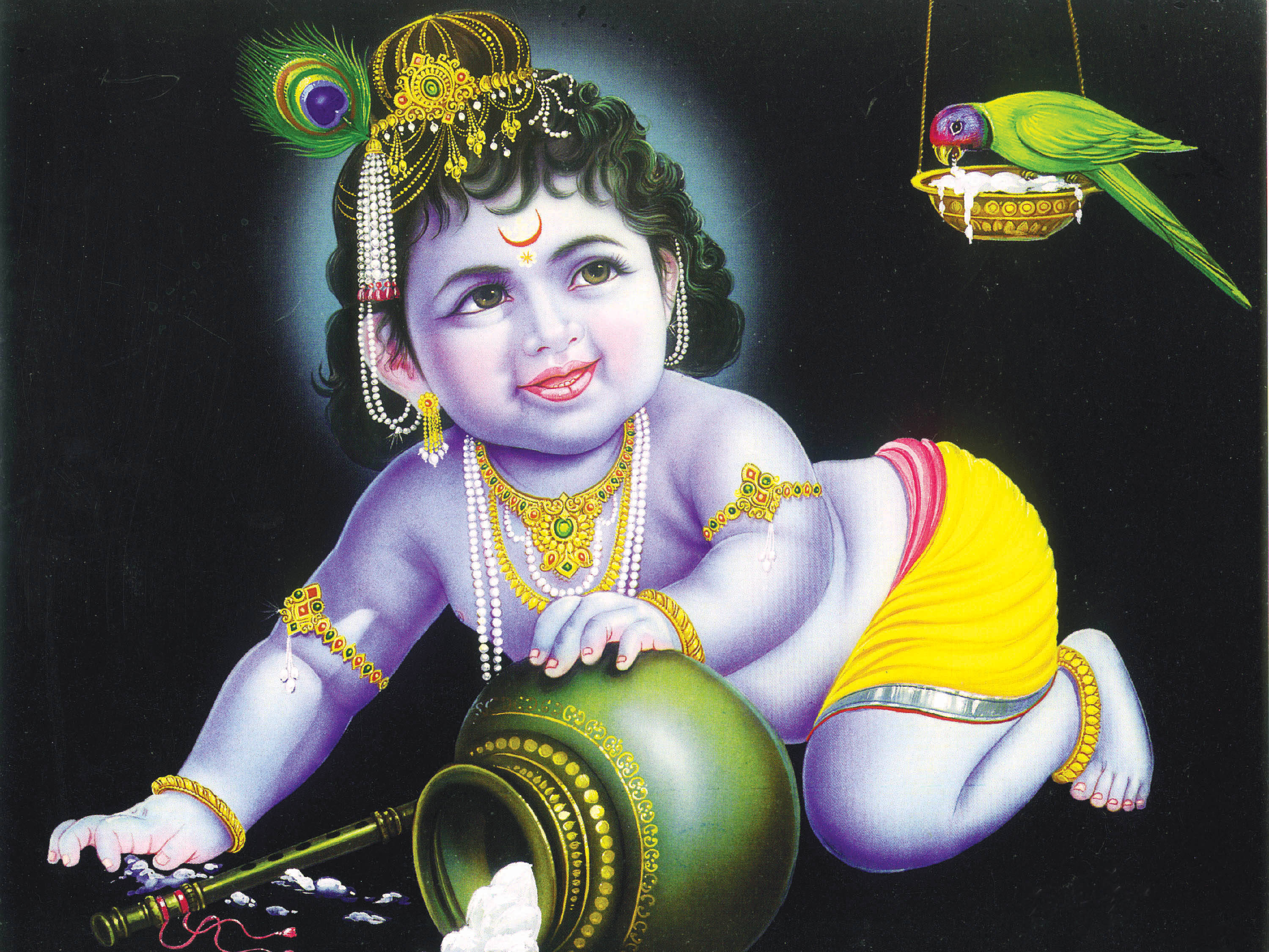 krishna ji 桌布 壁紙 — 一個擁有紫色皮膚和金色飾品的神聖小孩頑皮地從壺中潑灑牛奶，旁邊有一隻綠色鸚鵡棲息。