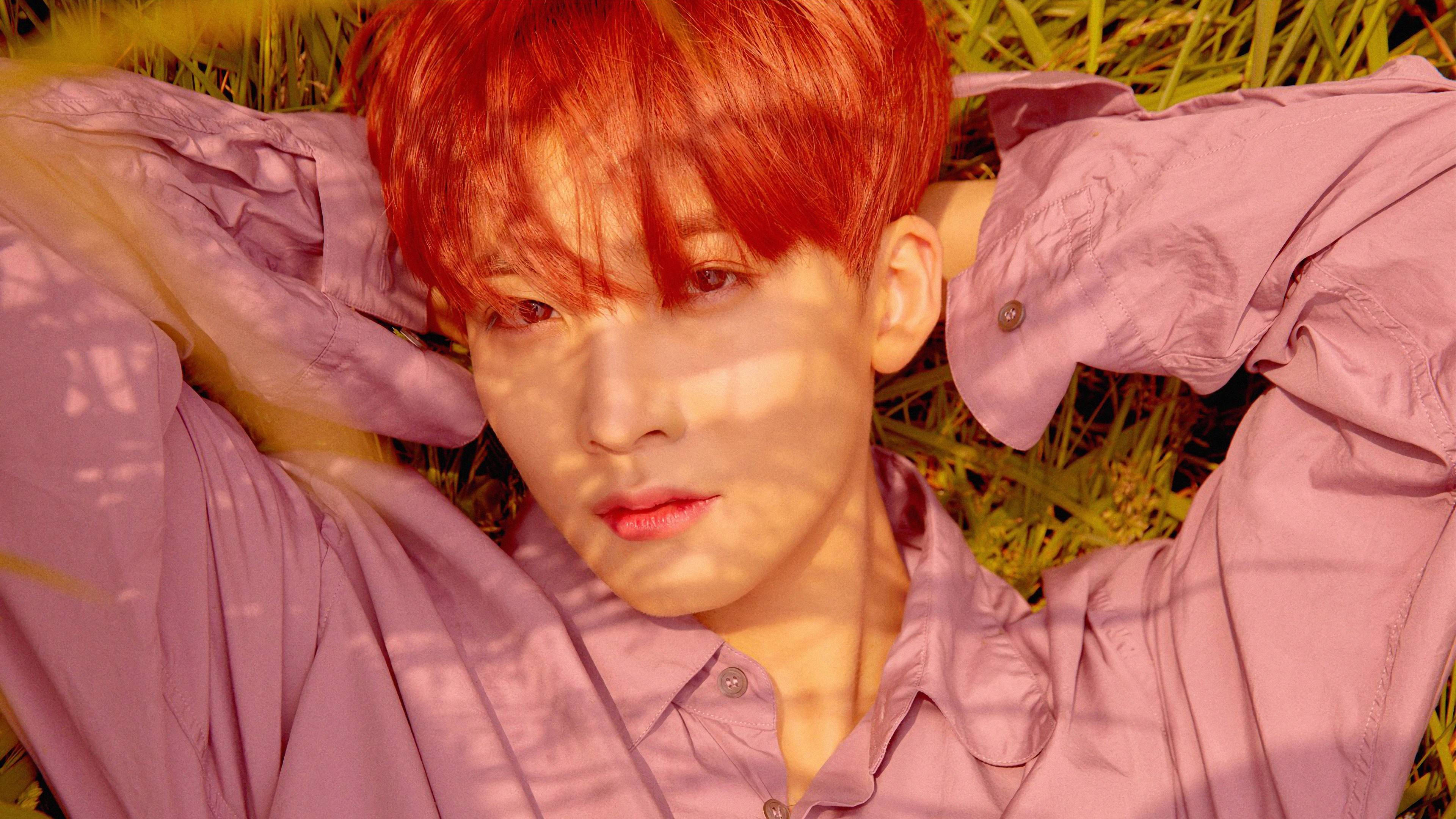 Yoon Jeonghan You Make My Day 壁紙 — 一個擁有鮮艷紅髮的人躺在草地上，穿著薰衣草色襯衫，沐浴在斑駁的陽光下。
