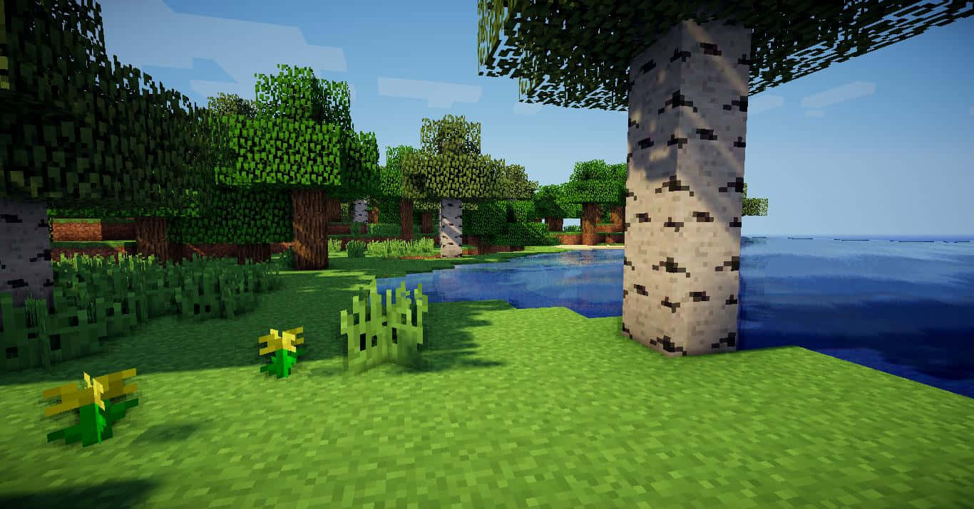 Minecraft Pocket Edition 桌布 壁紙 — 一個方塊風格的Minecraft森林場景，有白樺樹、綠草和寧靜的藍色湖泊，天空晴朗。