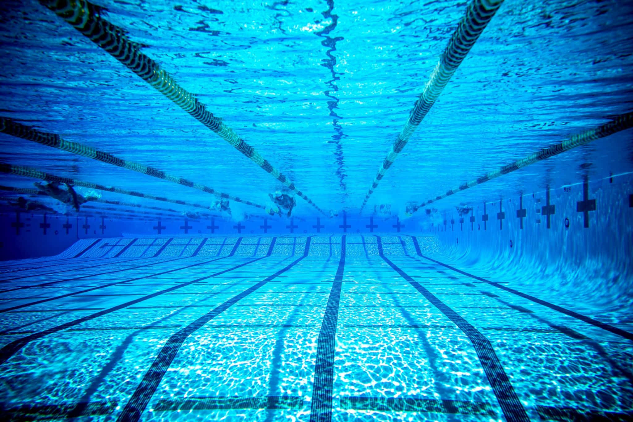 Swimming Pool 桌布 壁紙 — 一個明亮藍色游泳池的水底視圖，泳客沿著由黑色和黃色繩索標記的泳道滑行。