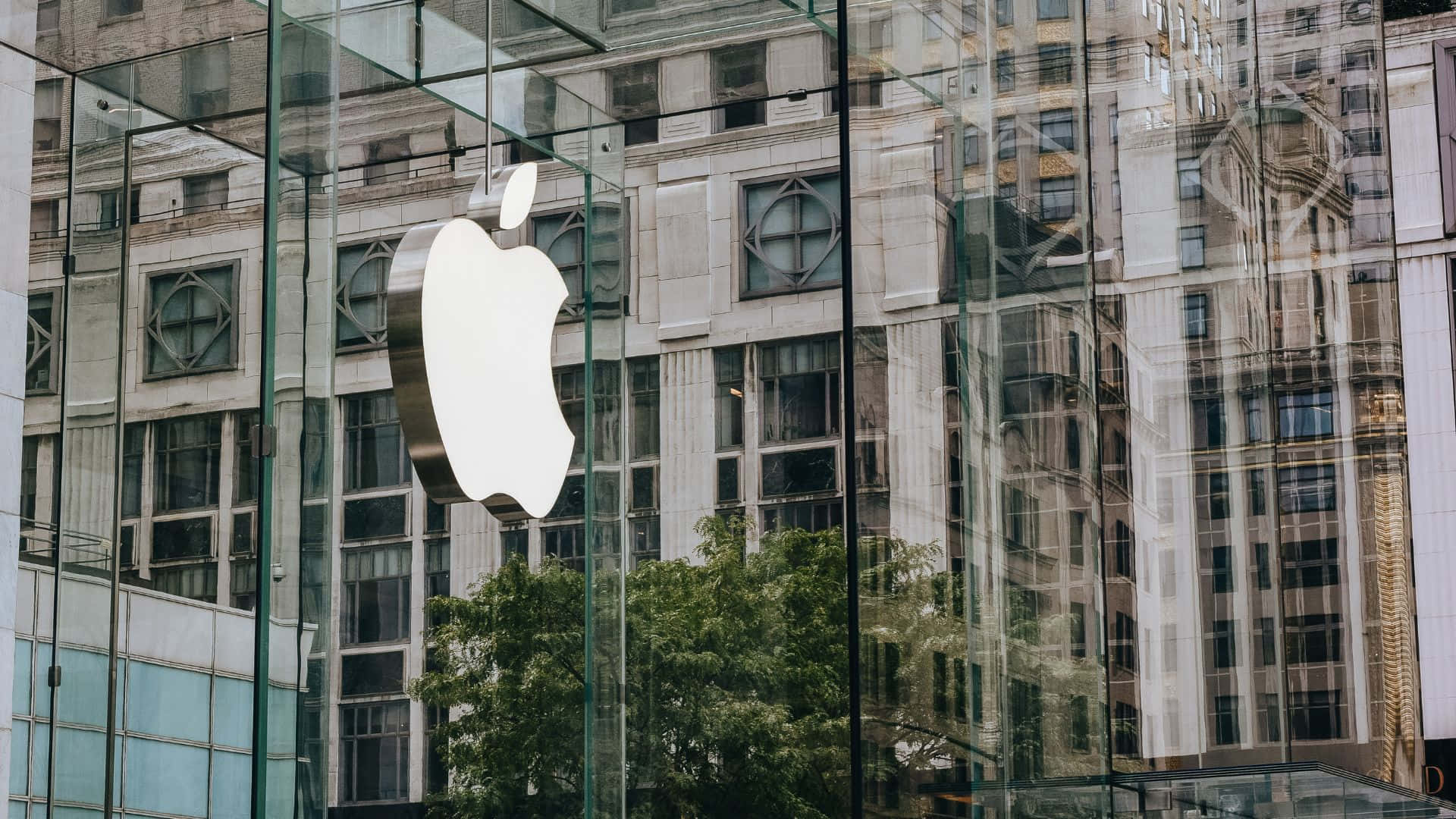 蘋果標誌 桌布 壁紙 — 一個時尚的銀色Apple標誌在玻璃店面上閃耀，映照出周圍的建築物和綠樹。