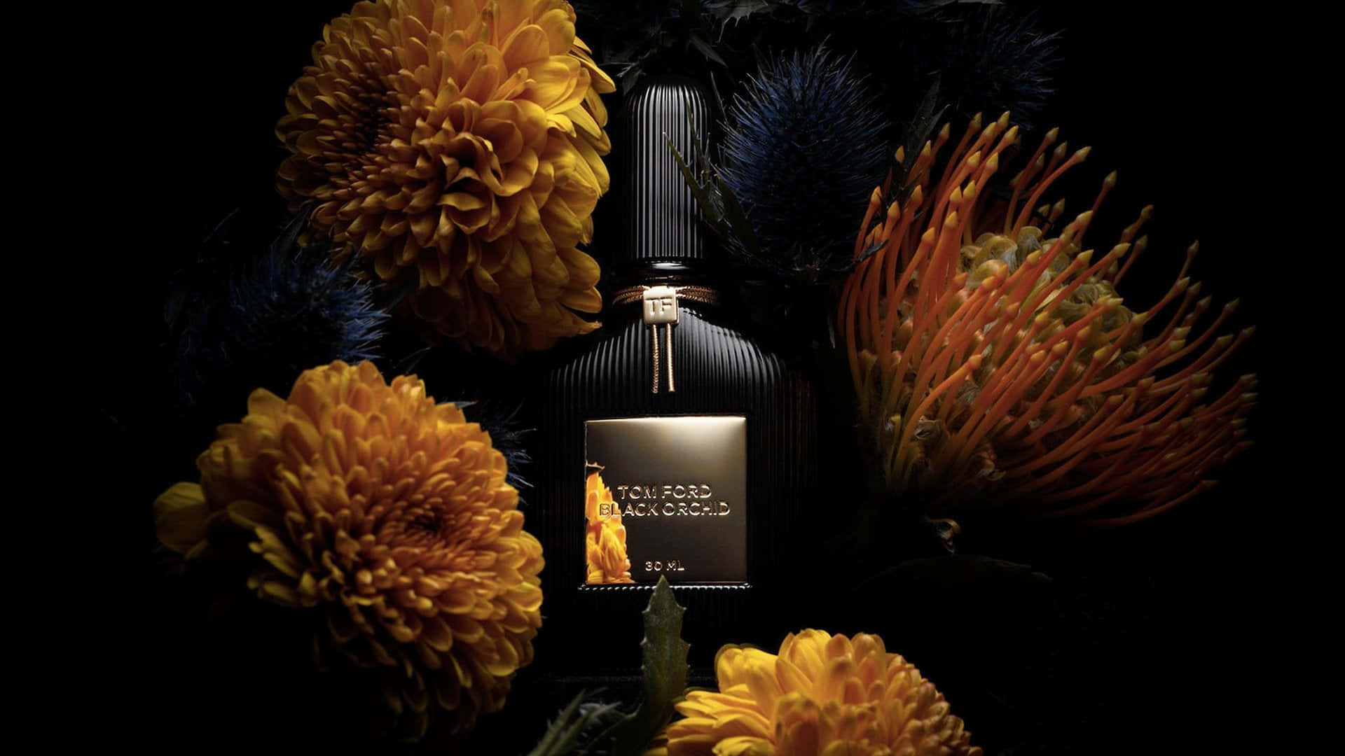 Floral Fragrance 桌布 壁紙 — 一個時尚的黑色Tom Ford Black Orchid香水瓶，在深色背景下被鮮豔的橙色和深藍色花朵環繞。