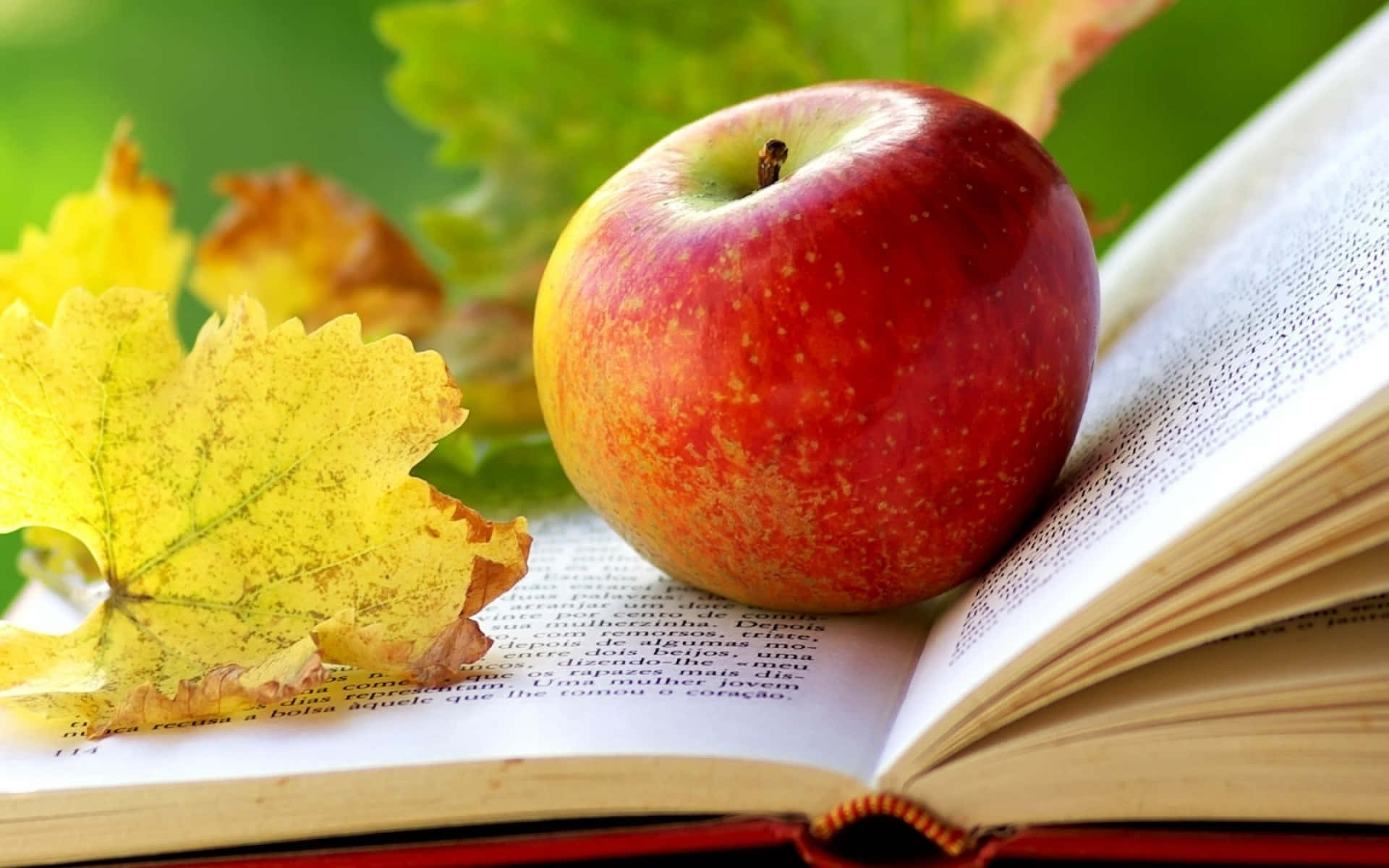 Autumn Food 桌布 壁紙 — 一個有光澤的紅蘋果放在一本打開的書上，旁邊有一片黃色的秋葉，背後有柔焦的綠色樹葉。