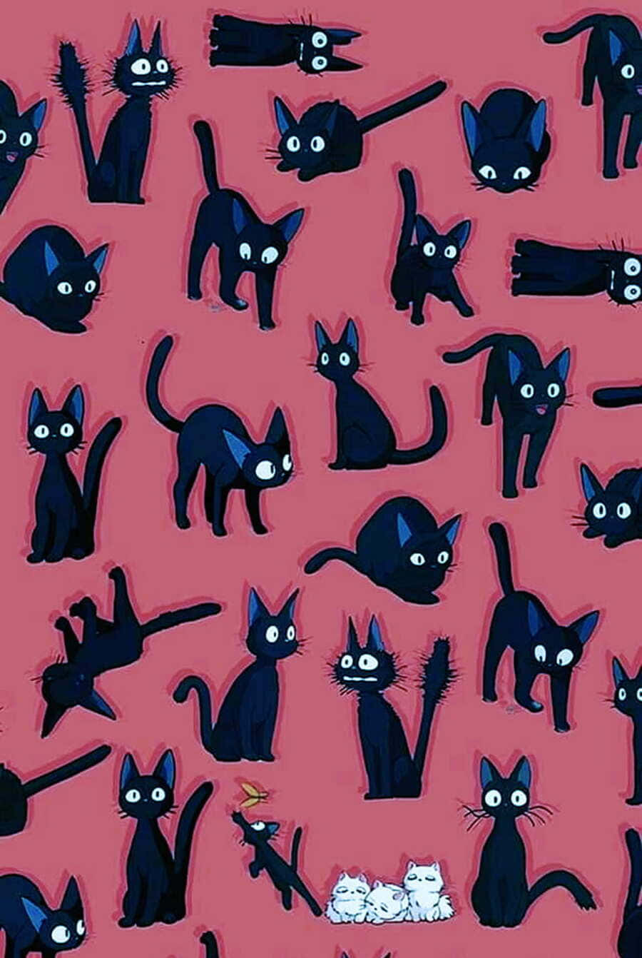 Jiji Cat 桌布 壁紙 — 一個有趣的圖案，黑色貓咪閃爍著發光的眼睛，散佈在充滿活力的粉紅色背景上。