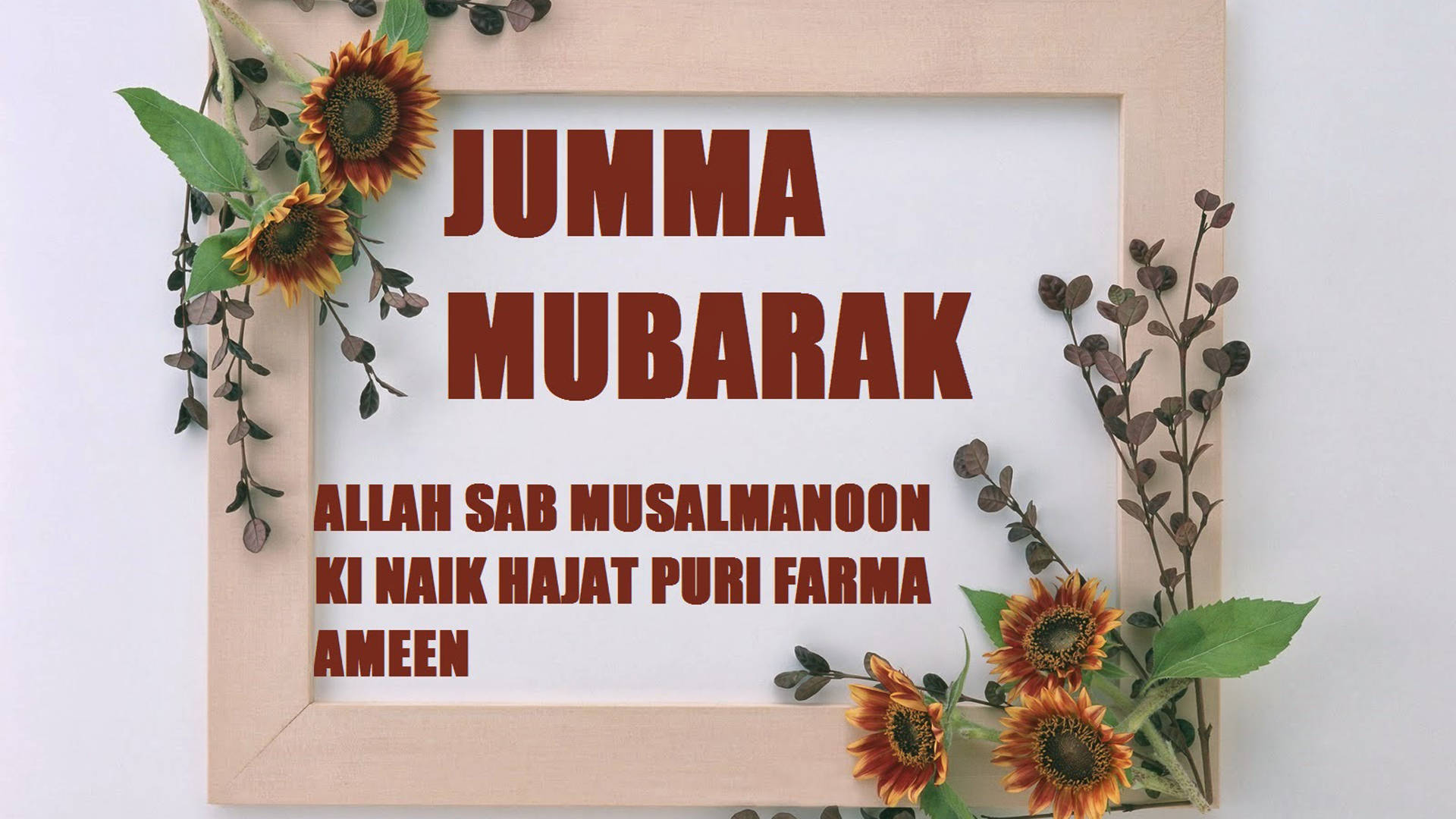 伊斯蘭 桌布 壁紙 — 一個木框問候卡，上面有「JUMMA MUBARAK」文字和向日葵裝飾，背景為純白色。