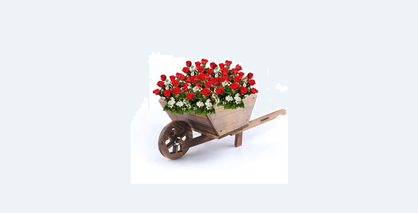 Flower Cart 桌布 壁紙 — 一個木製手推車，裝滿了鮮紅的玫瑰和白色的花朵，背景是潔淨的白色。