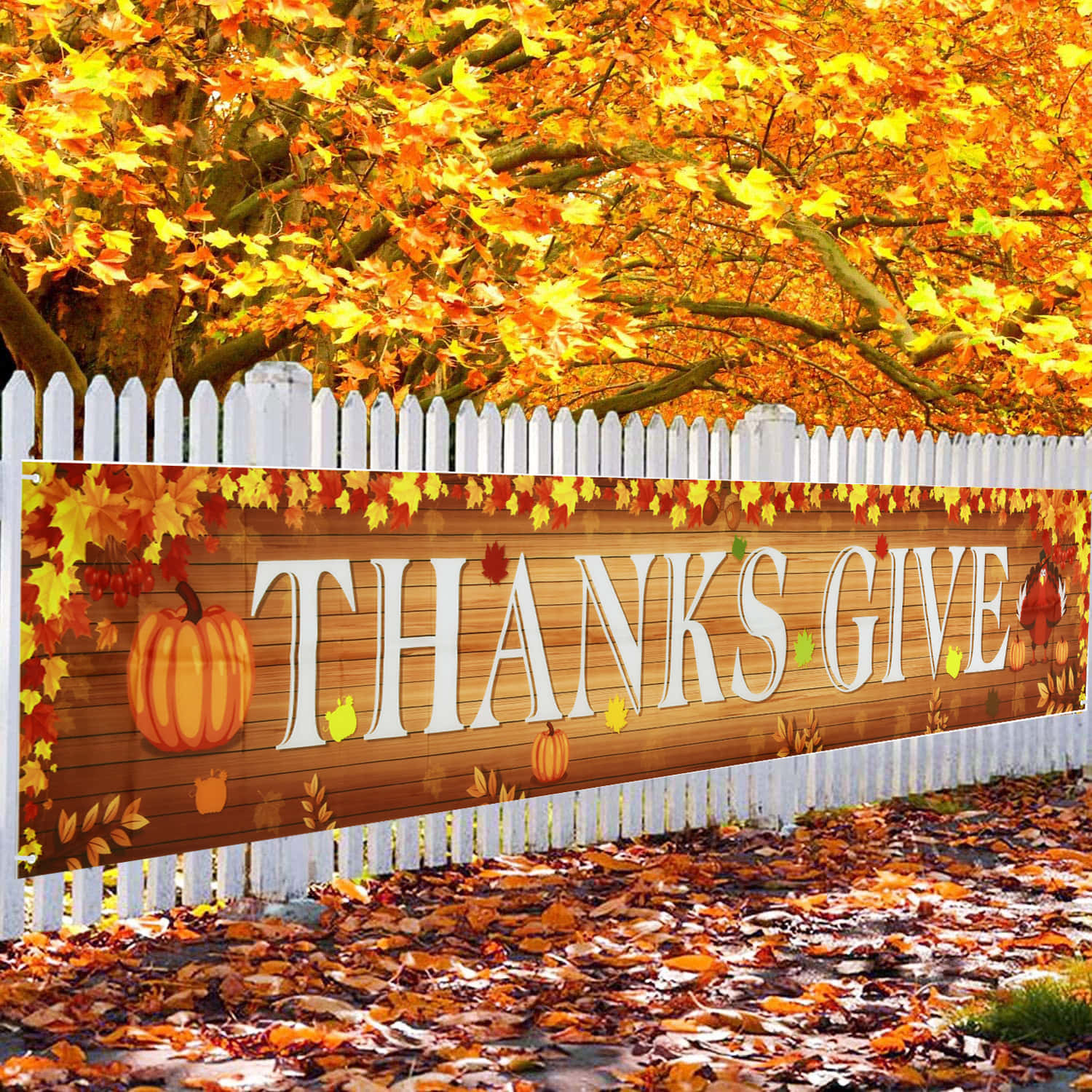 First Day Of Fall 桌布 壁紙 — 一個木製的 'THANKSGIVING' 標誌，裝飾著南瓜和秋葉，掛在白色尖樁籬笆上，上方是金色楓樹的樹冠。