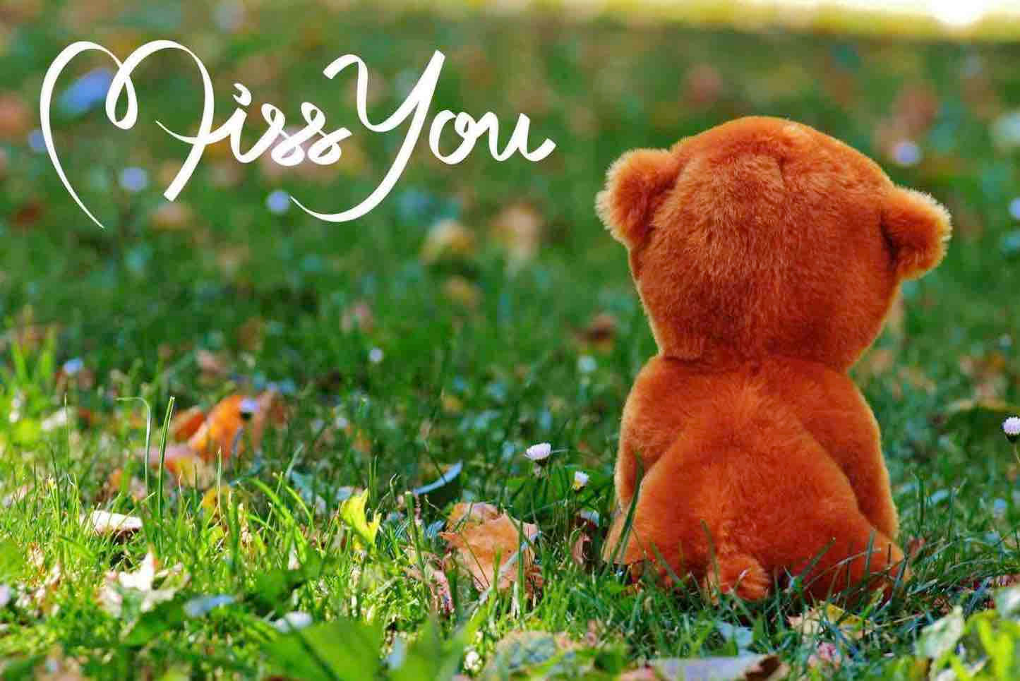 I Miss You 桌布 壁紙 — 一個柔軟的橙色毛絨熊獨自坐在陽光明媚的草地上，散落著樹葉，並有白色字體寫著「Miss You」。