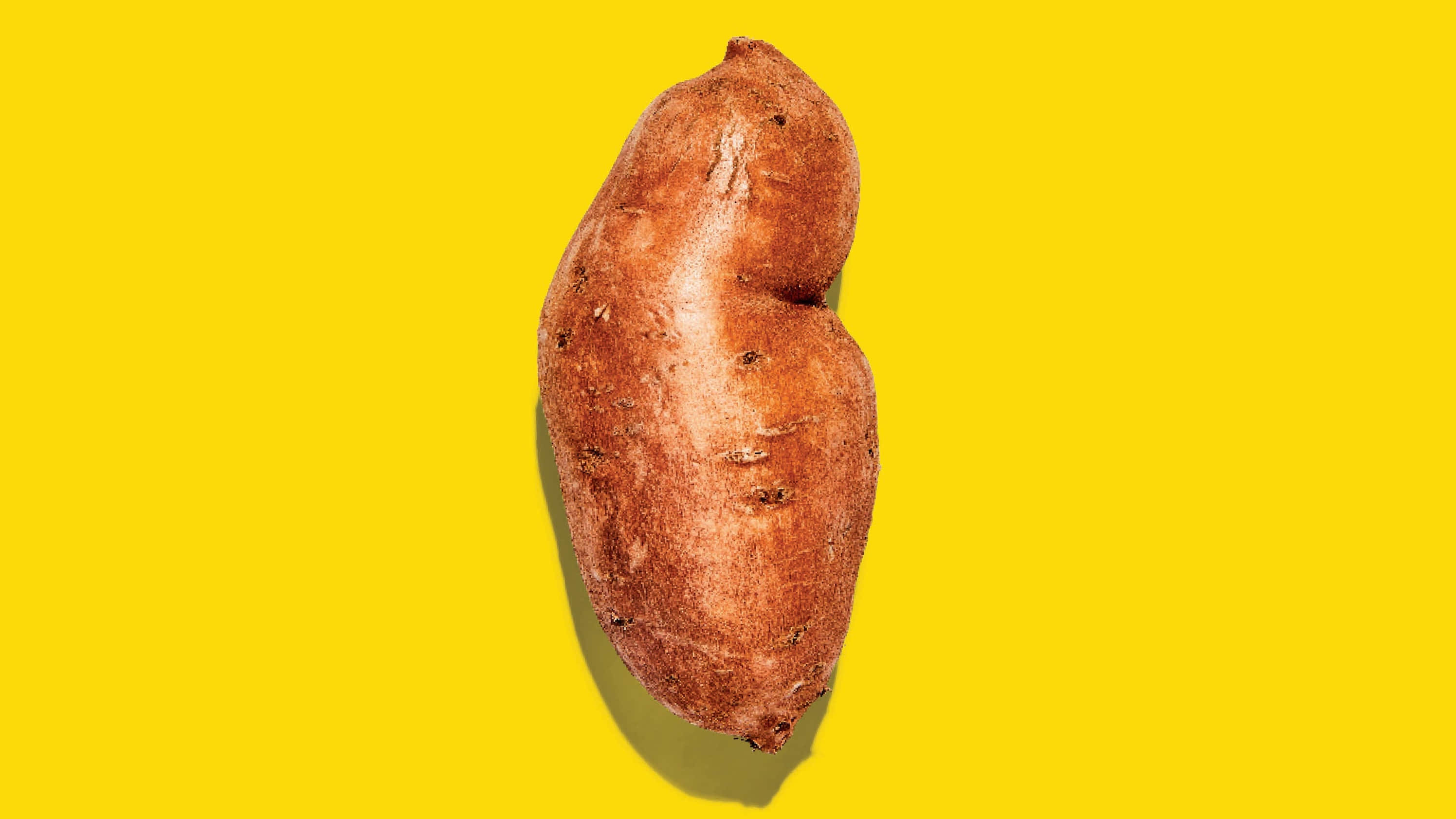 Yellow Sweet Potato 桌布 壁紙 — 一個棕色粗糙外皮嘅蕃薯，置中喺鮮黃色背景上。