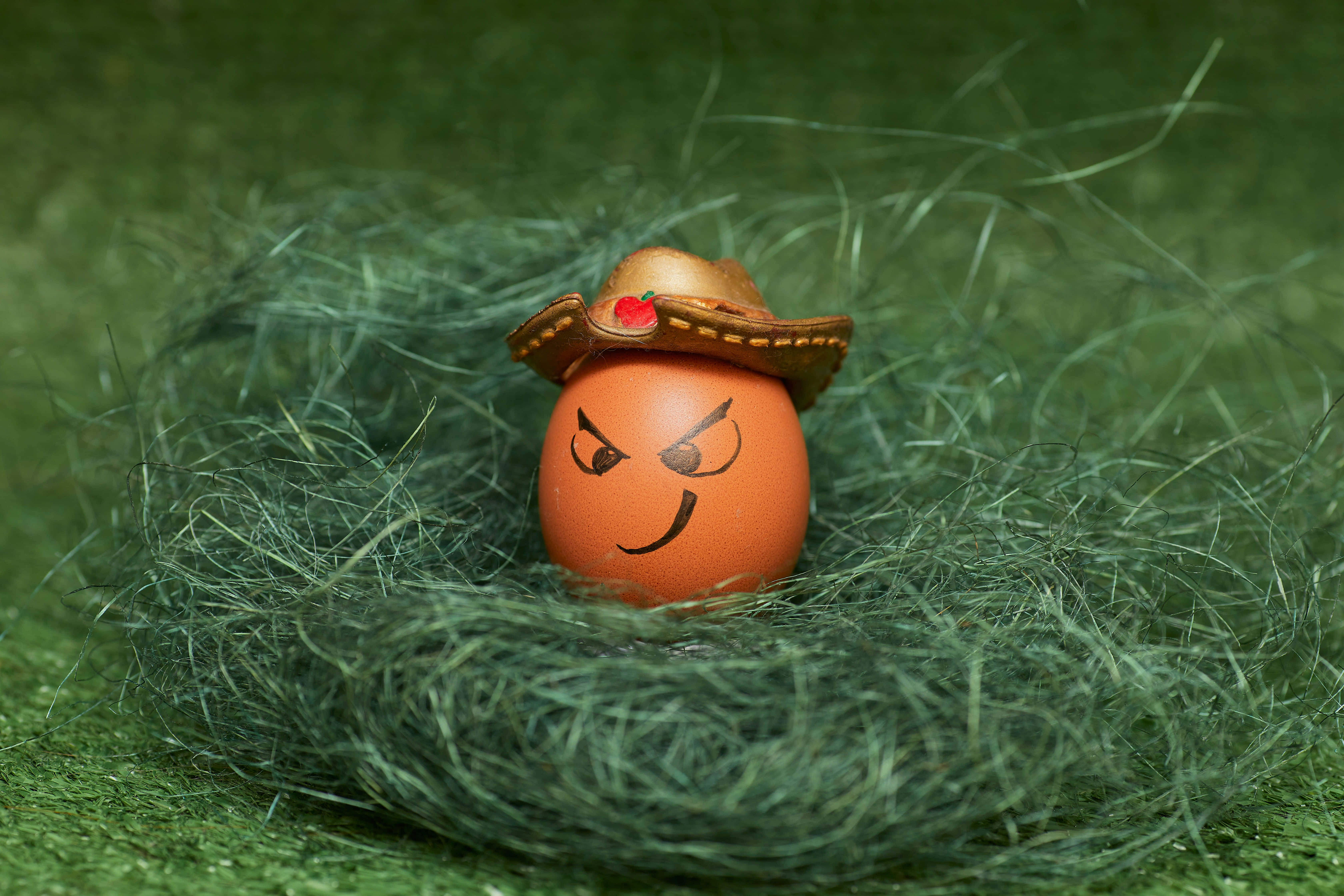 Brown Eggs 桌布 壁紙 — 一個棕色雞蛋，上面畫著憤怒的表情，戴著小牛仔帽，躺在綠草中。