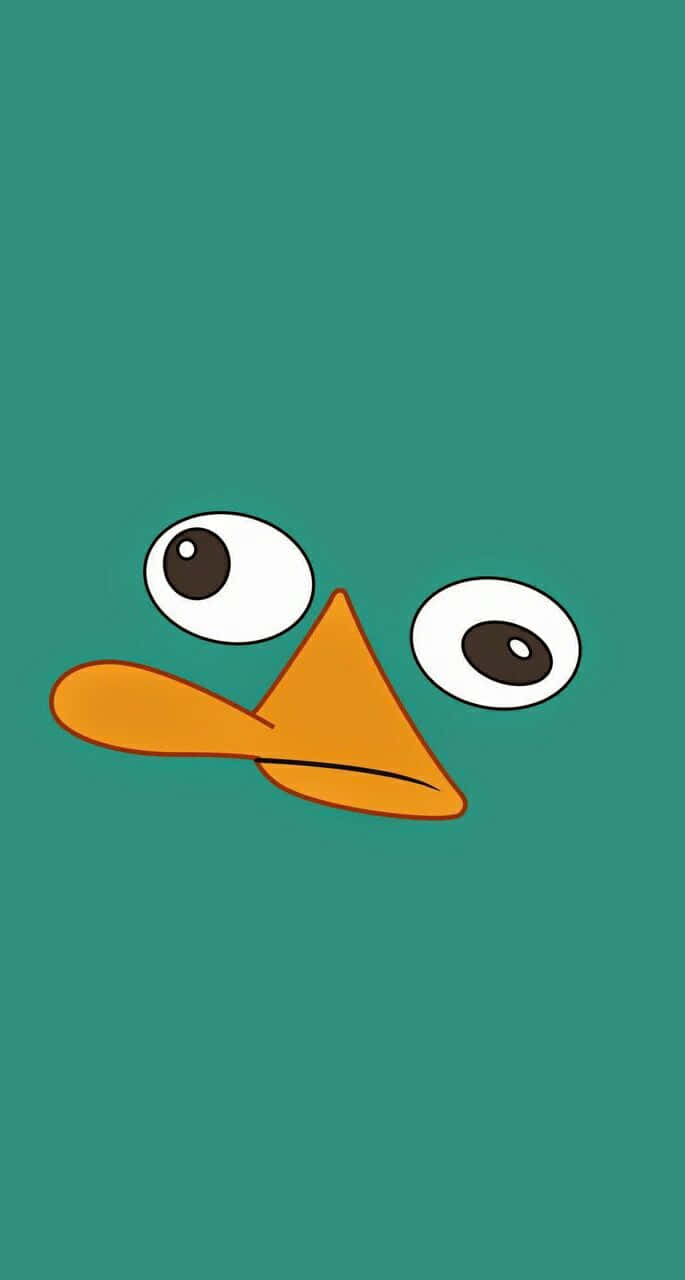 Phineas And Ferb 桌布 壁紙 — 一個極簡卡通鴨嘴獸臉，有大眼睛和橙色喙，居中在純青色背景上。