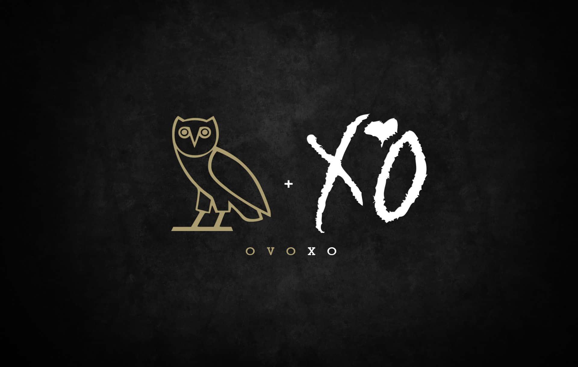  壁紙 — 一個極簡標誌，在紋理黑色背景上，有金色貓頭鷹和白色 XO 文字。