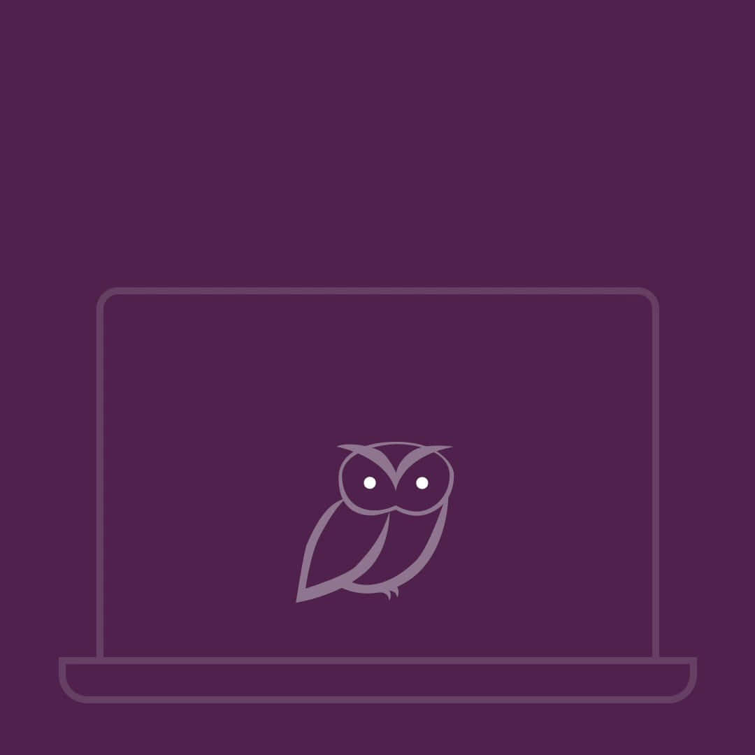 Drake OVO Owl iPhone 壁紙 — 一個極簡線條藝術貓頭鷹圖示，置於筆記型電腦輪廓中央，背景為純紫色。