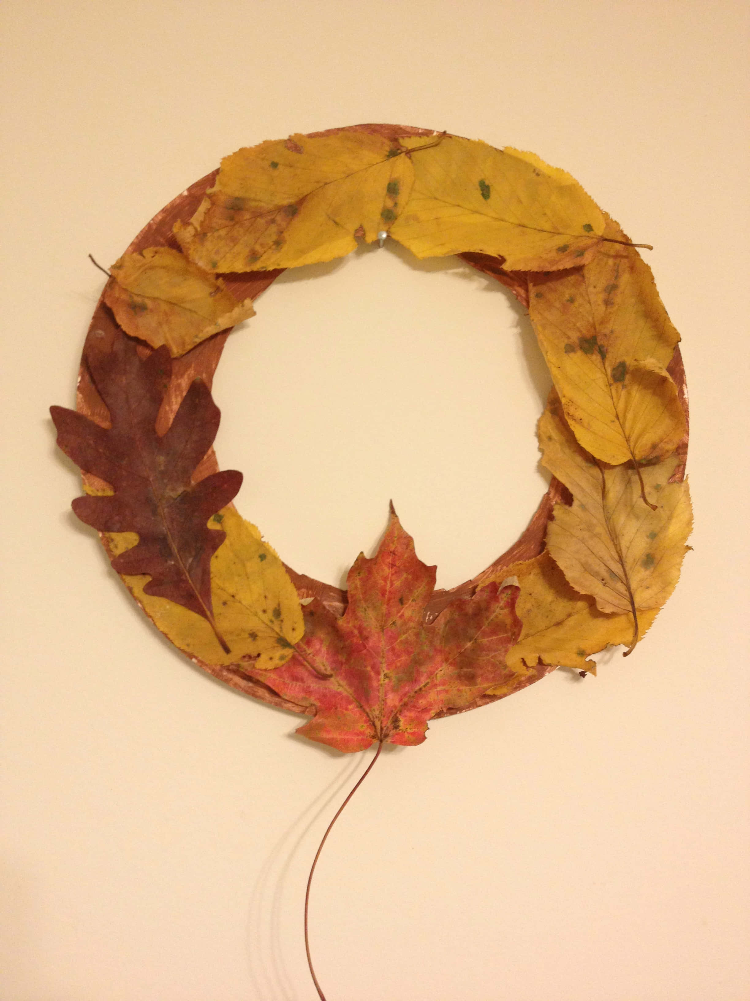 Fall Crafts 桌布 壁紙 — 一個樸素的秋季樹葉花環，帶有黃色、紅色和棕色的葉子，掛在純米色的牆上。